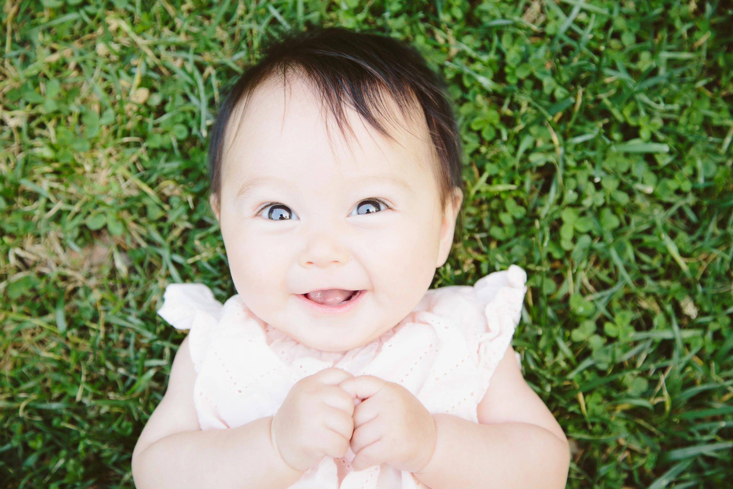 Camera basics workshop for the new photographer