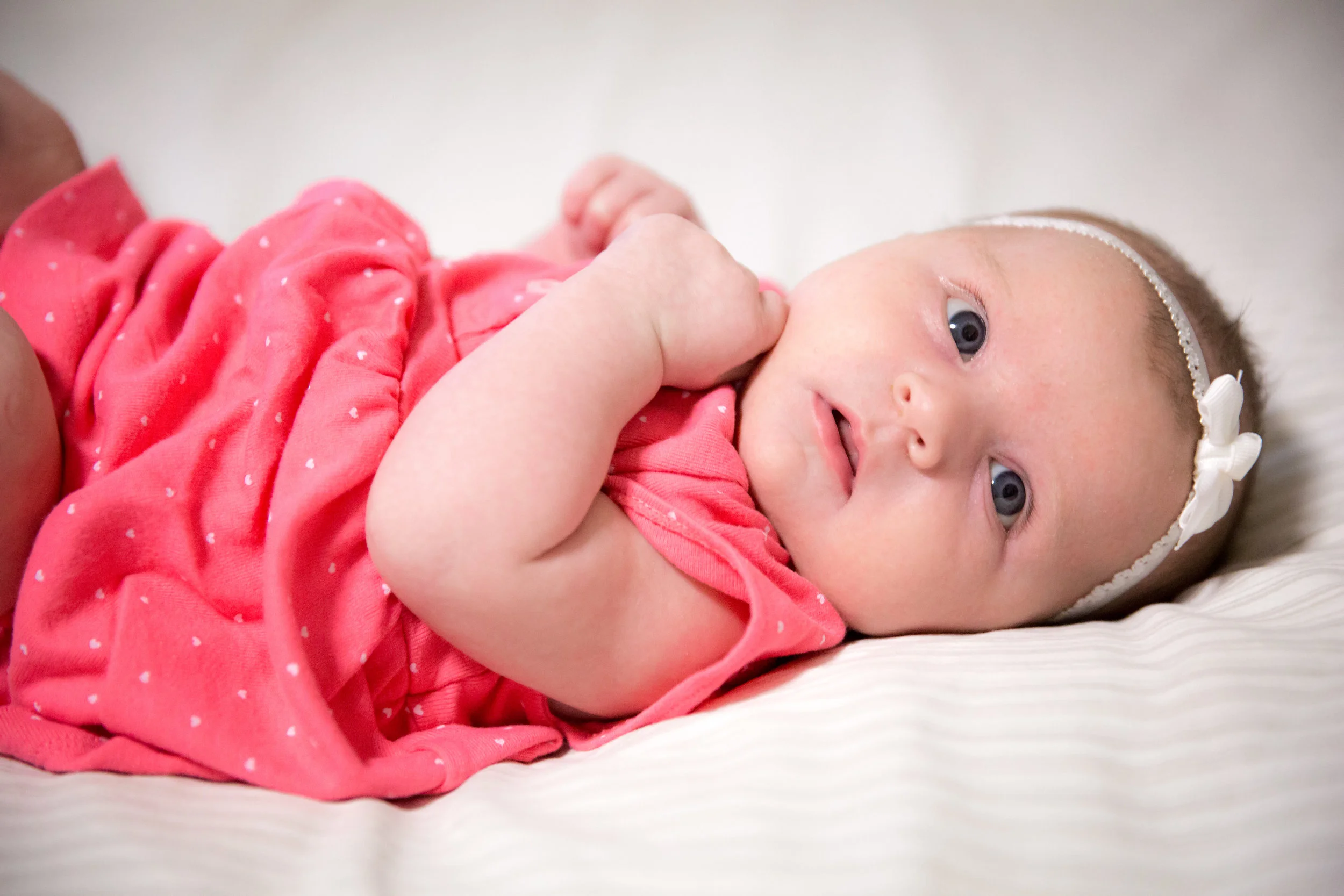 La Cresenta Family Session Mary Graham Photography-10.jpg