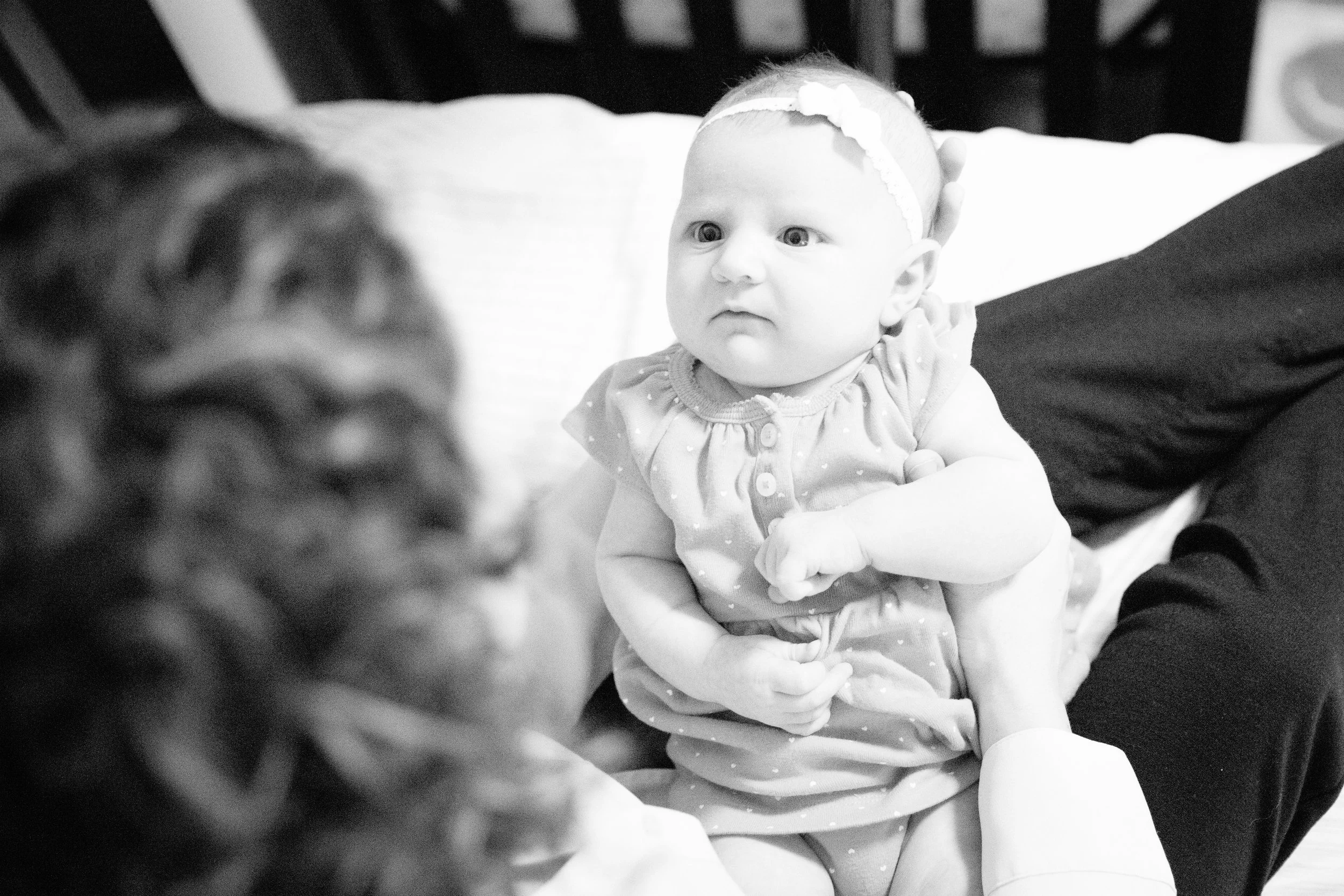 La Cresenta Family Session Mary Graham Photography-14.jpg