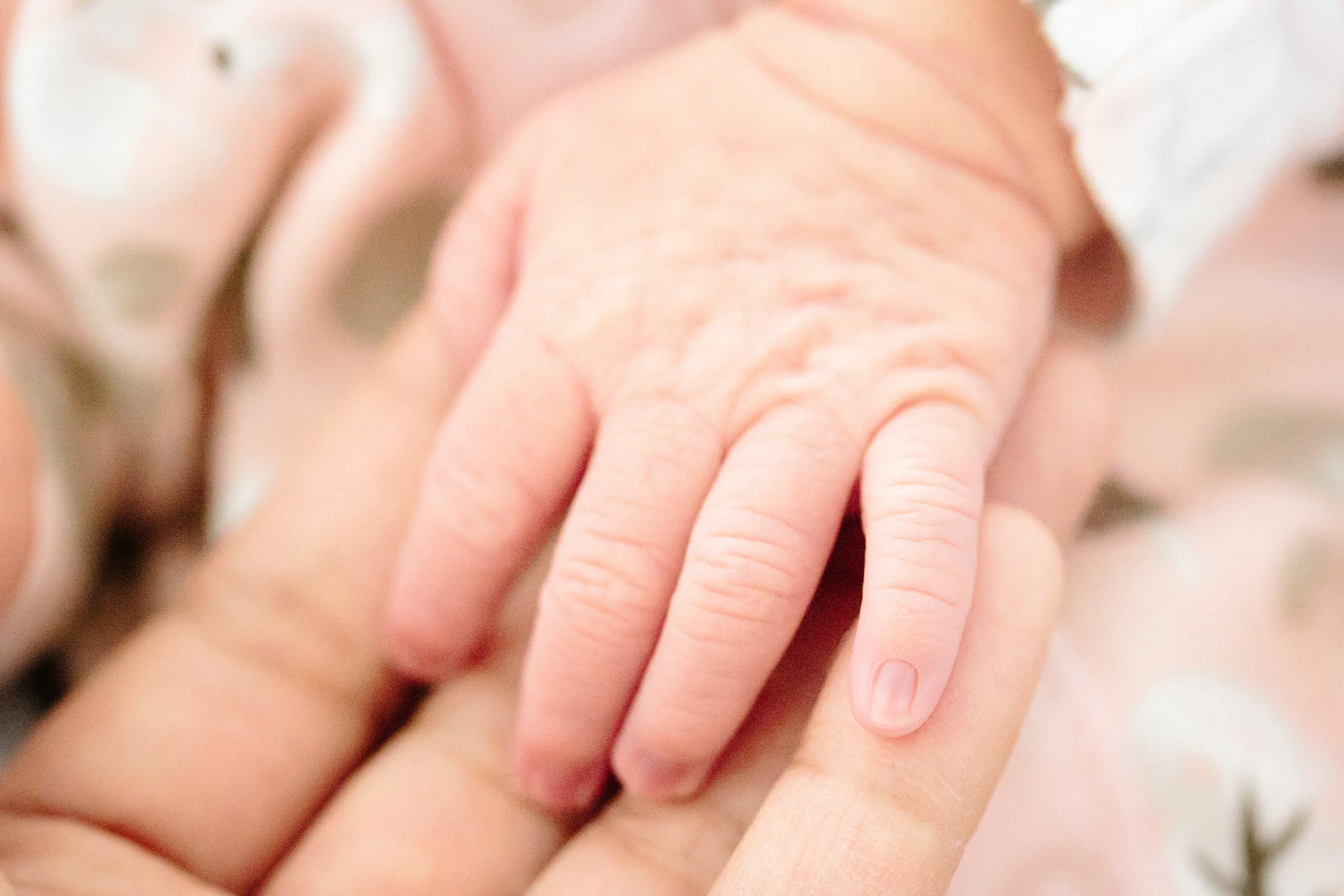 newborn hand-1.JPG