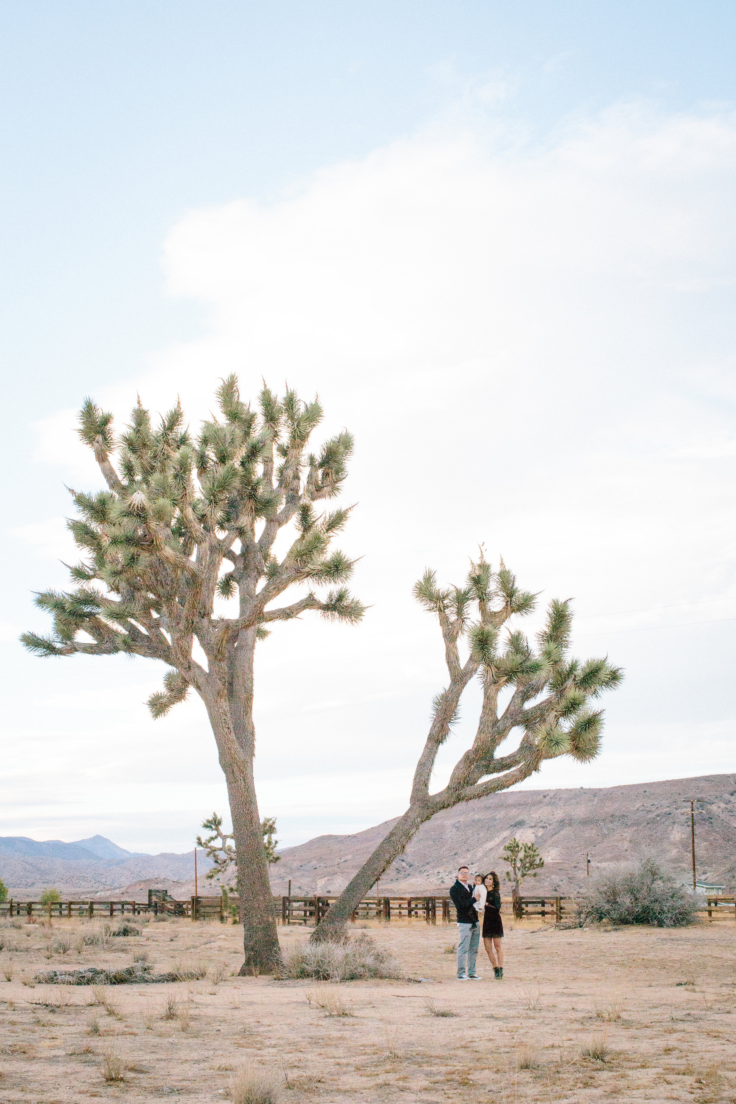 Palm Springs Family Mary Graham Photography-19.jpg