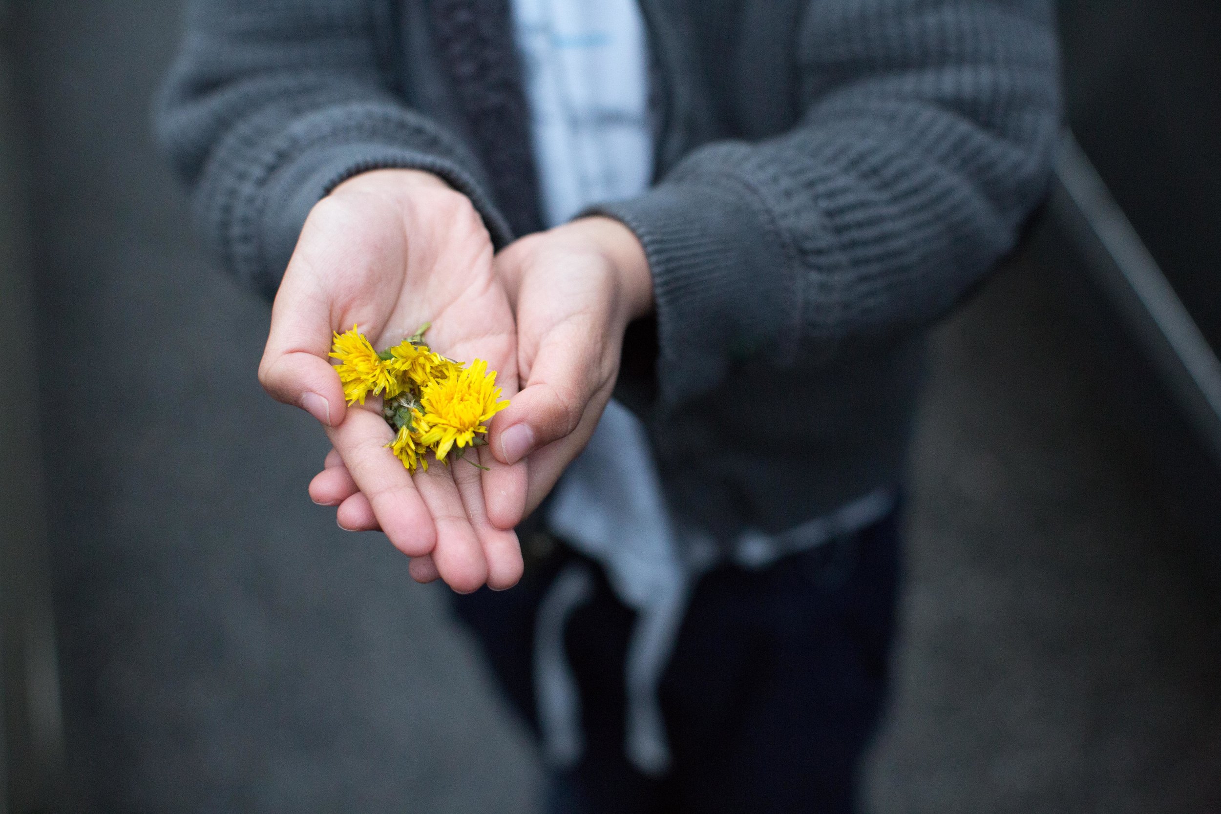 He loves to give me "flowers"