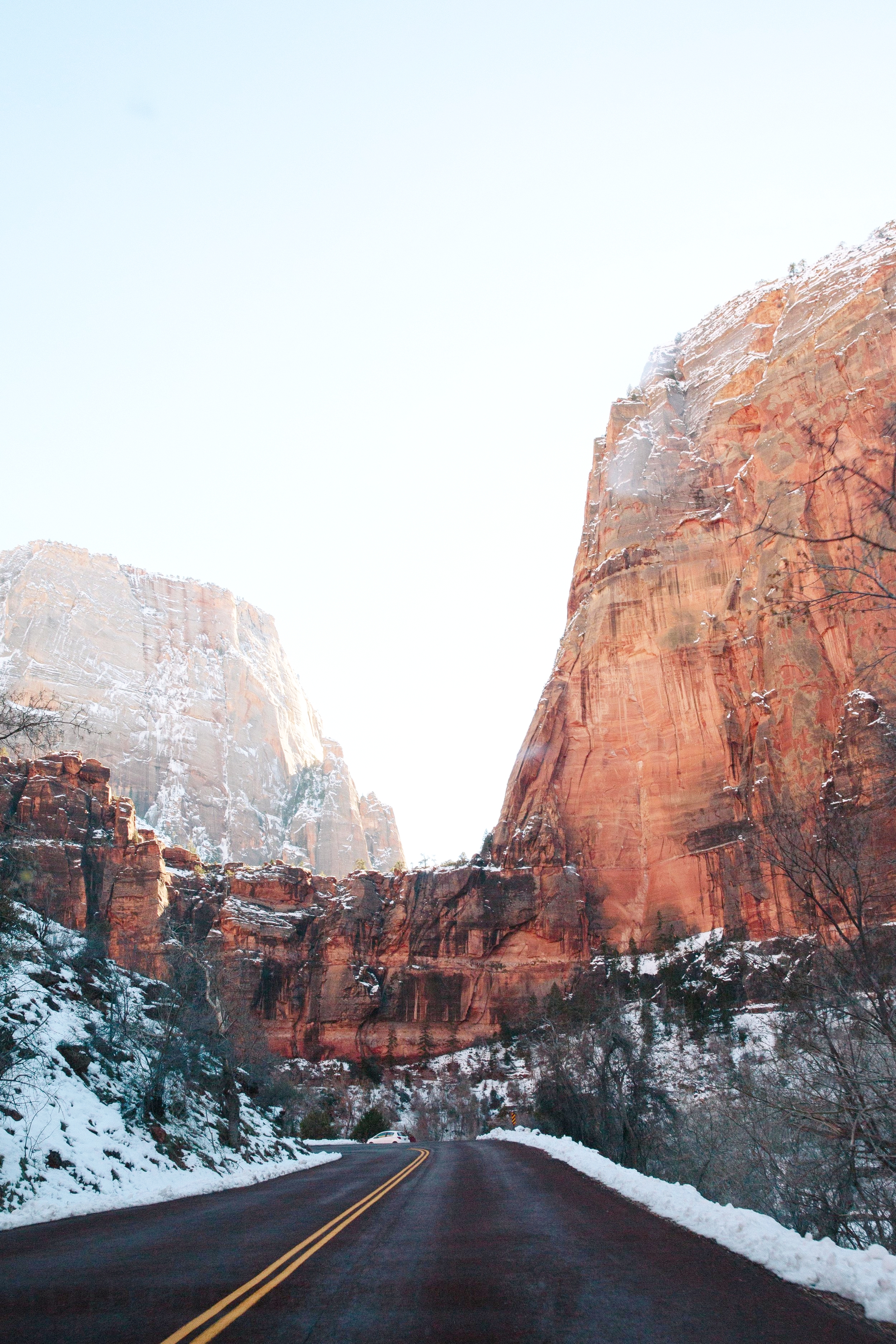 365 February Zion National Park-3.JPG