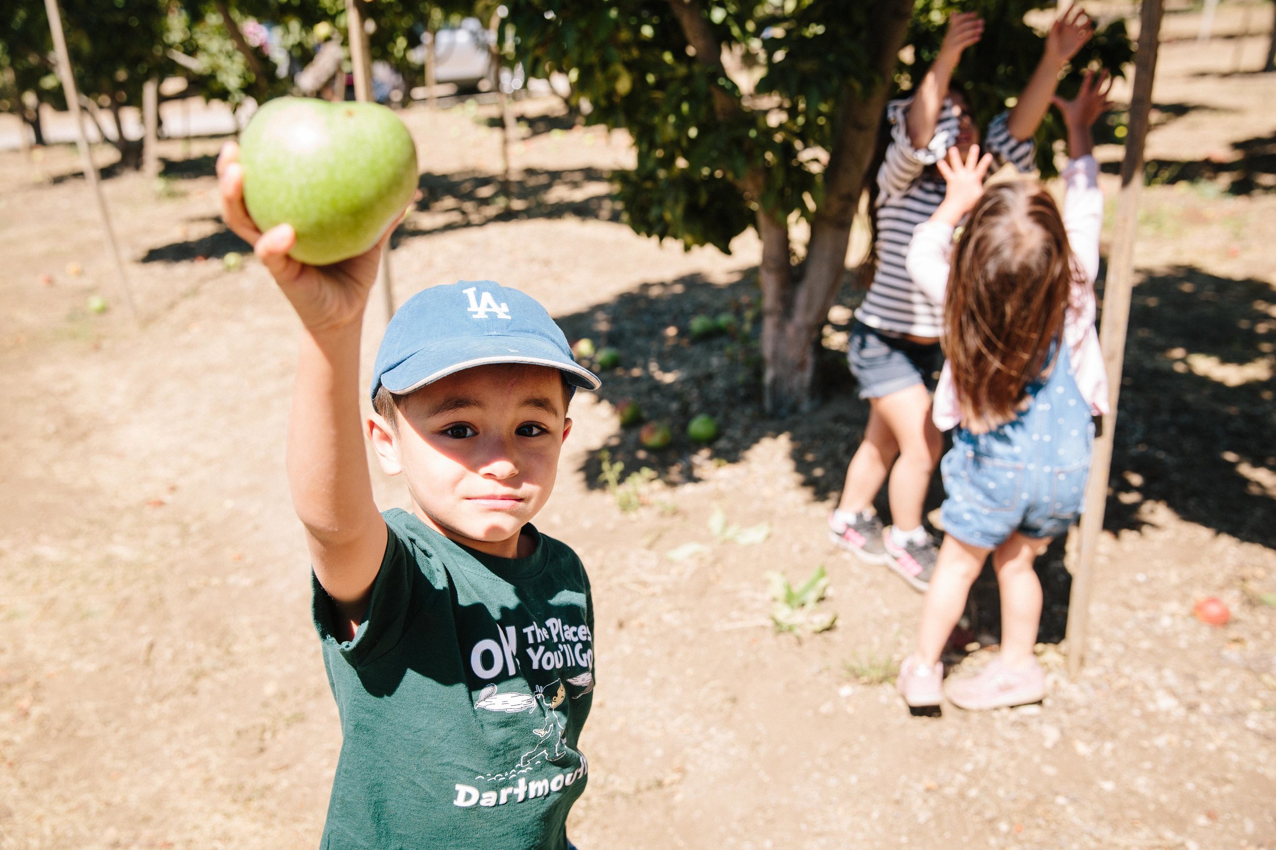 Apple Picking Oak Glen-2.JPG