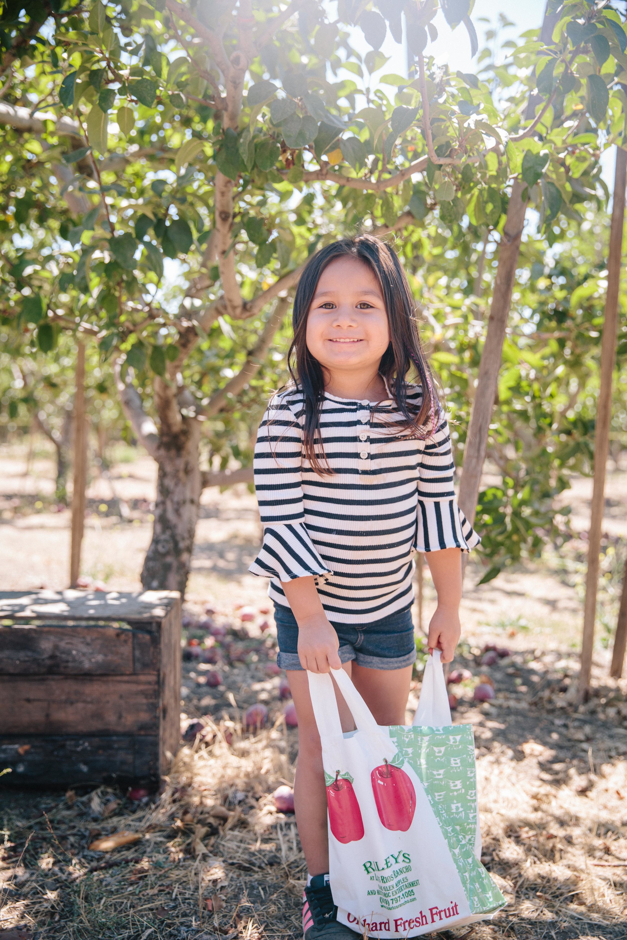 Apple Picking Oak Glen-5.JPG