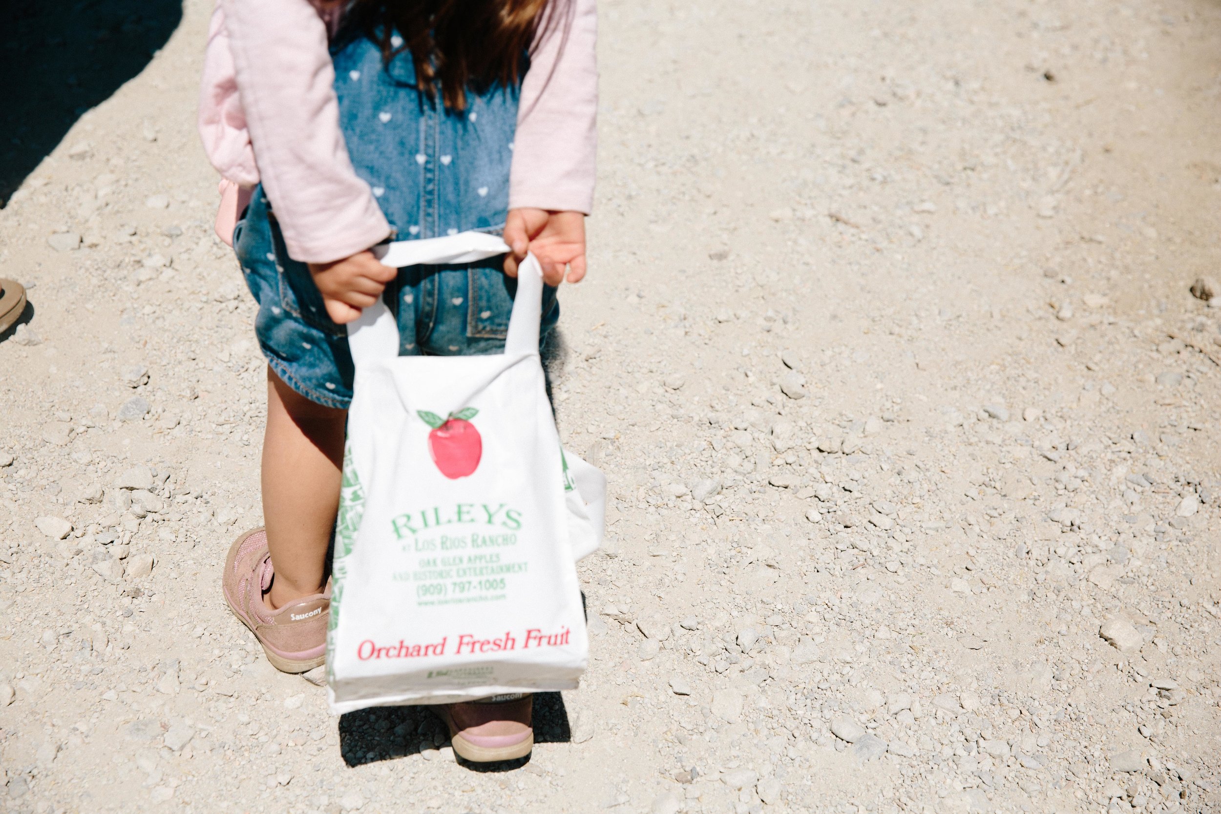 Apple Picking Oak Glen-14.JPG