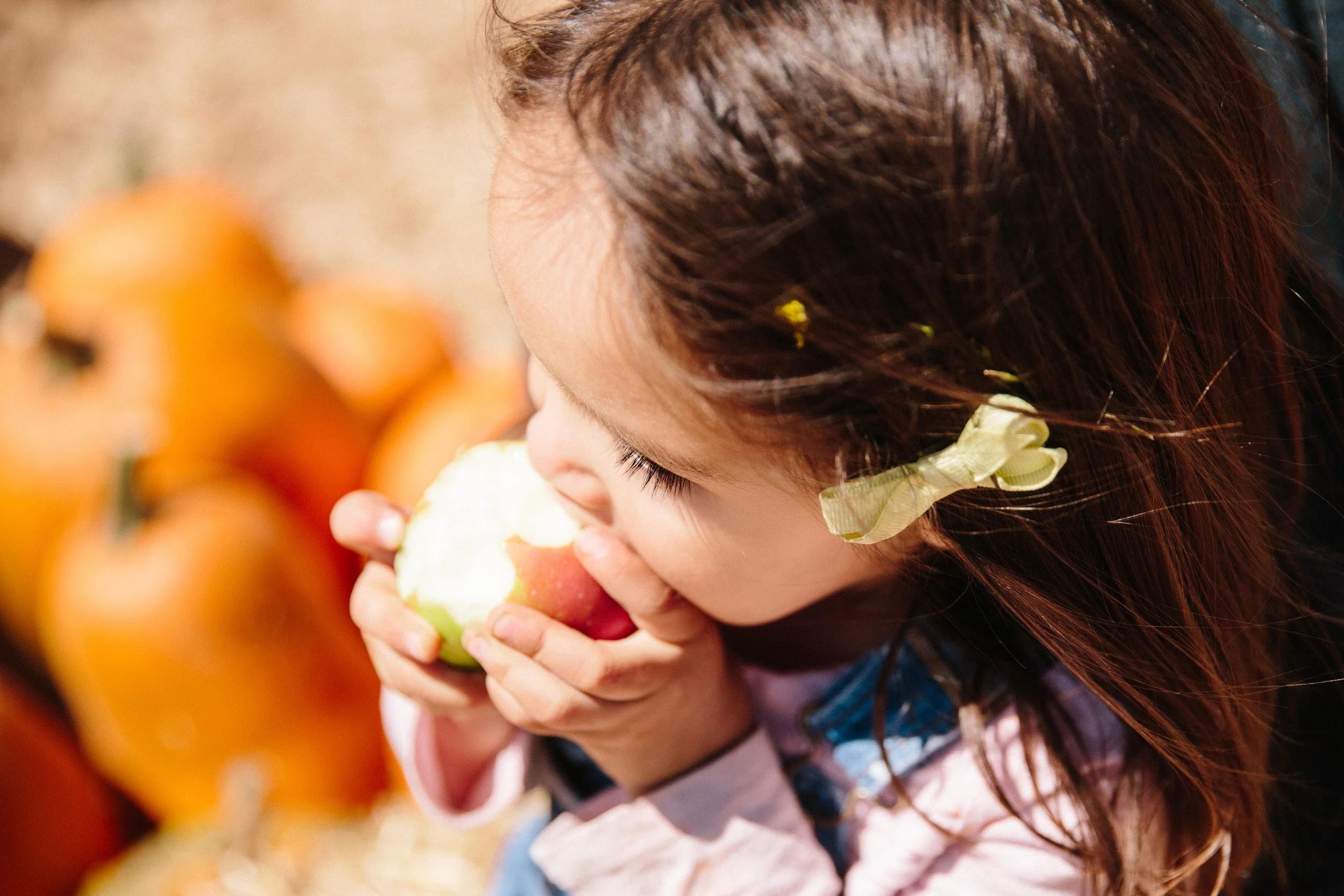 Apple Picking Oak Glen-18.JPG