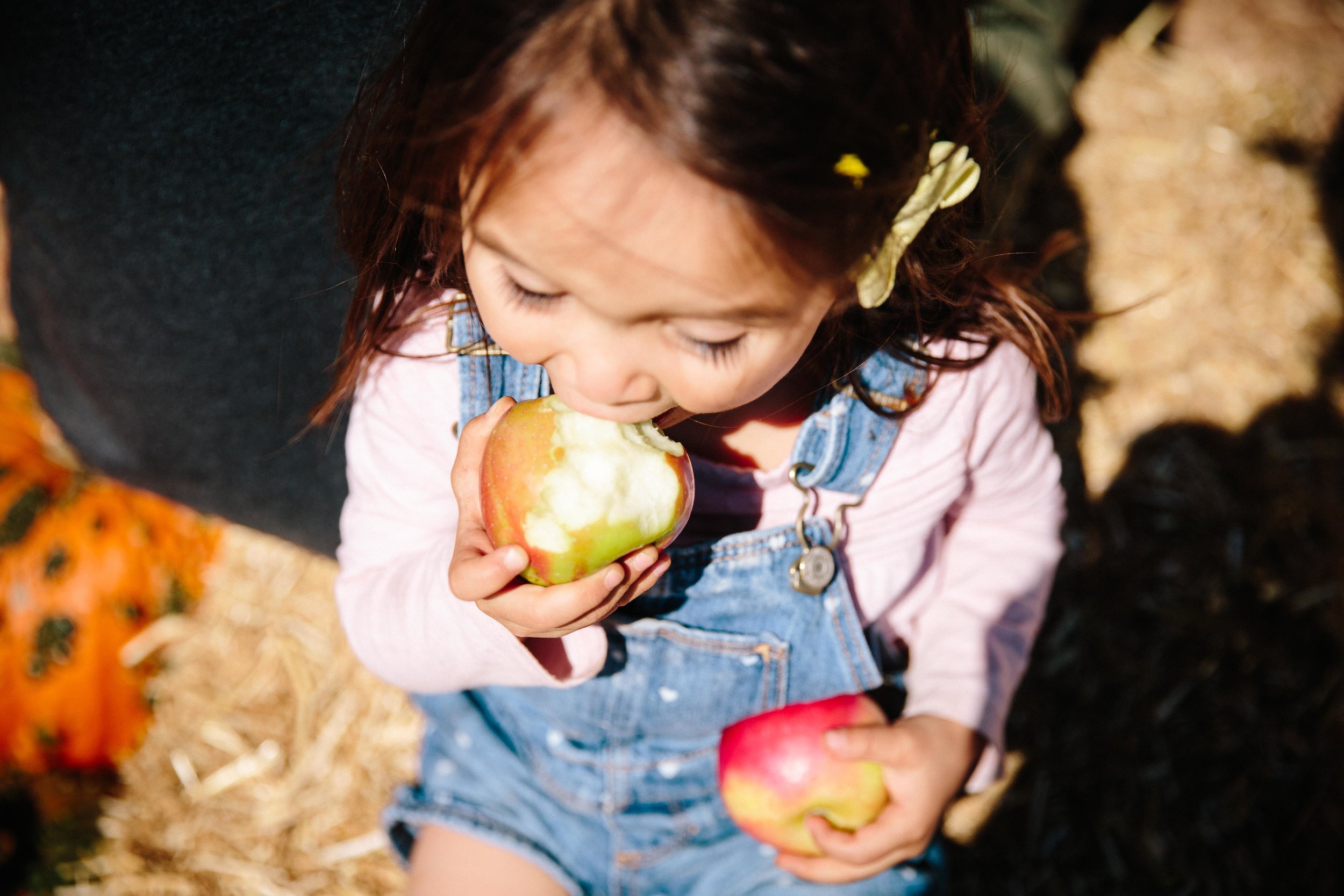 Apple Picking Oak Glen-19.JPG