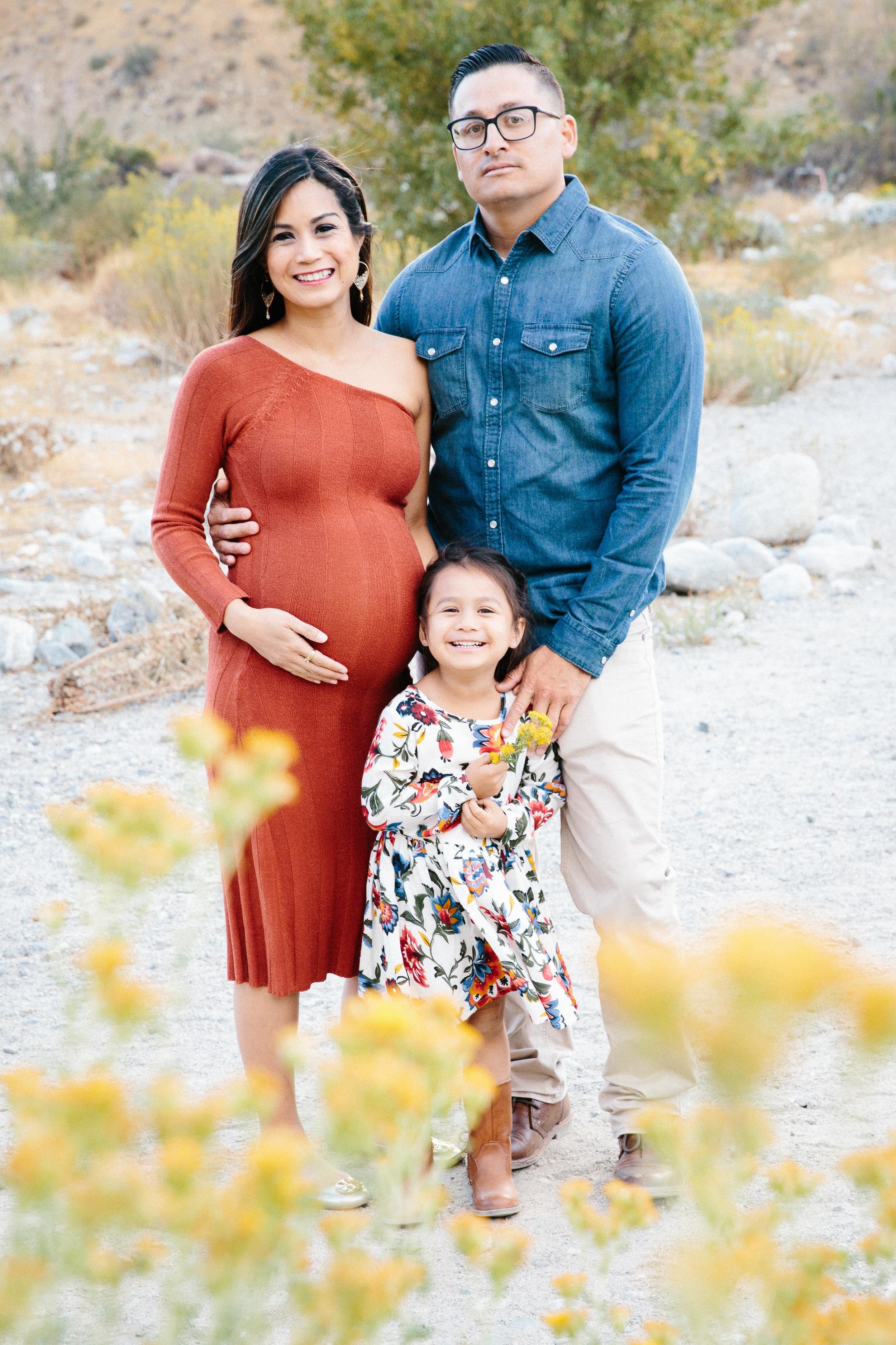 Best of 2017 Family PhotographyTwins Maternity session-7.JPG