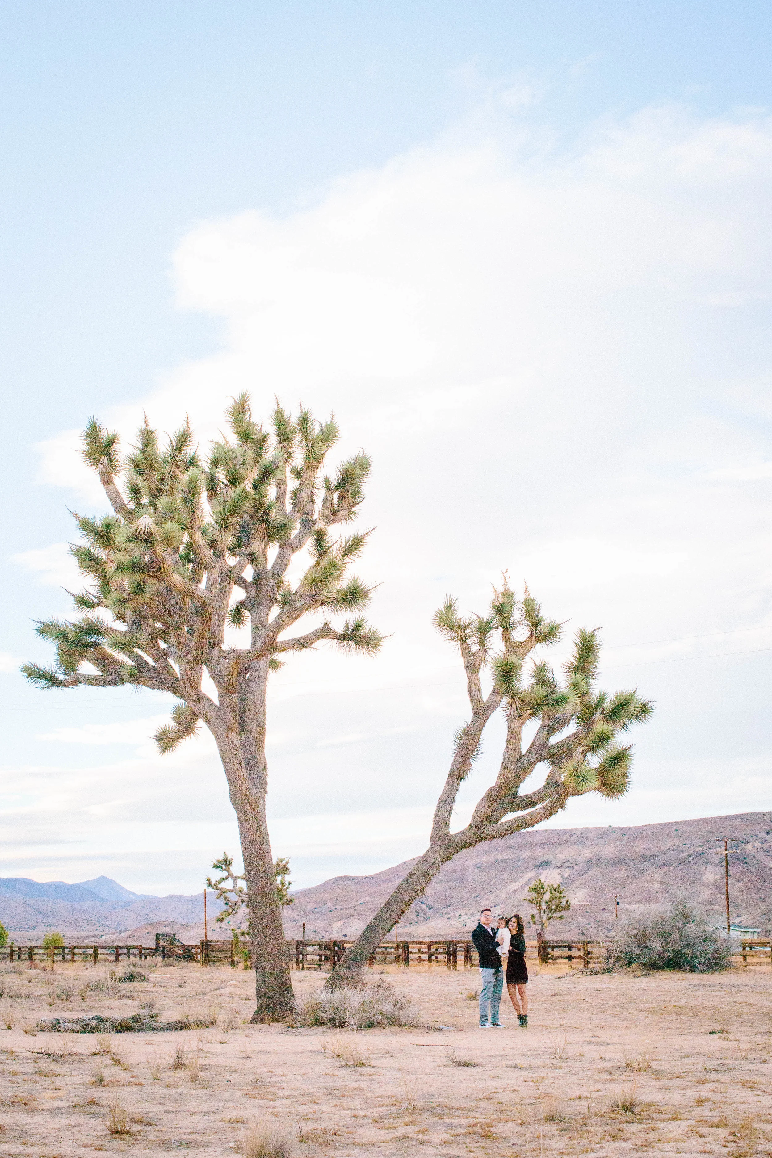 outdoor family session-1.JPG