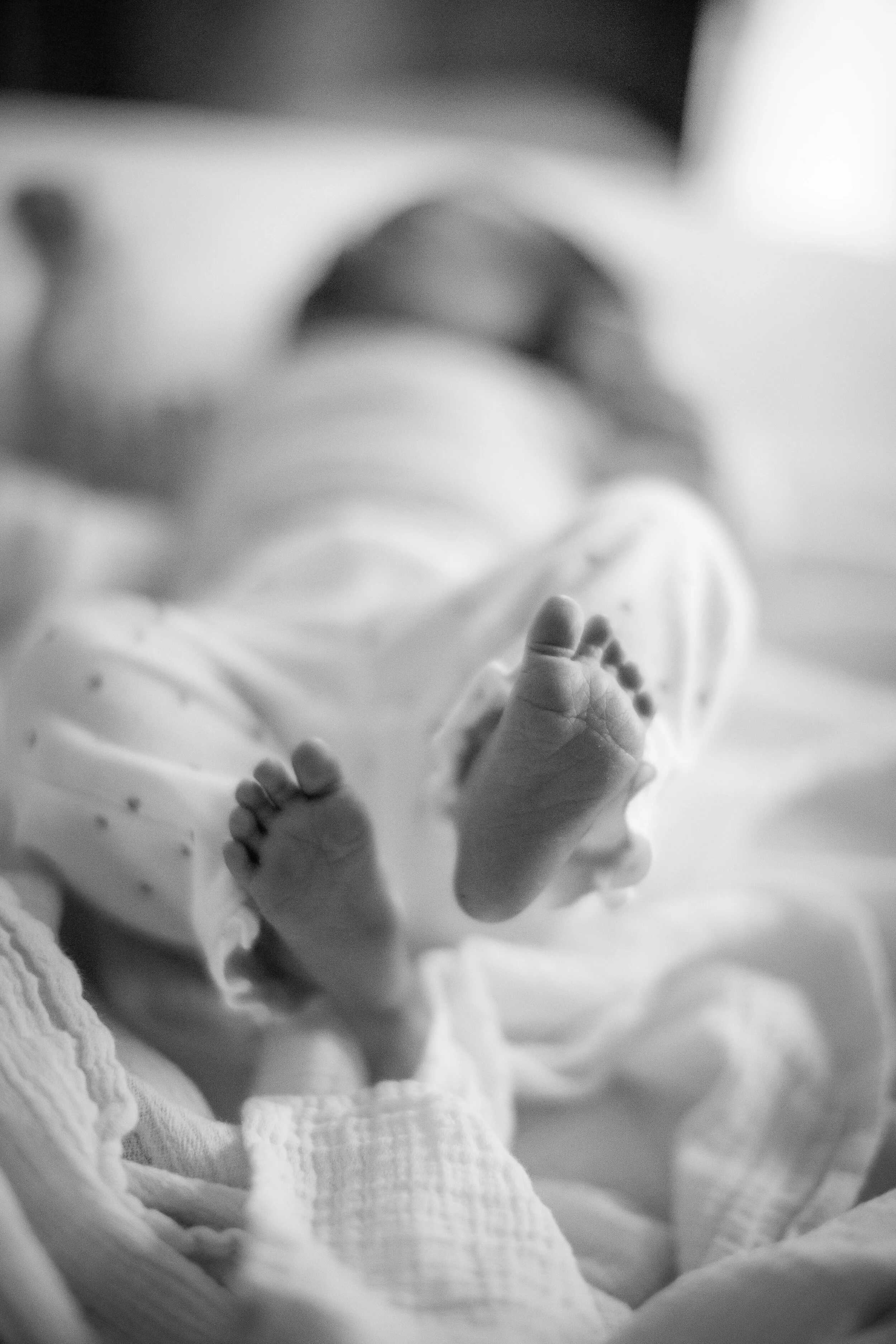 newborn feet-1.JPG