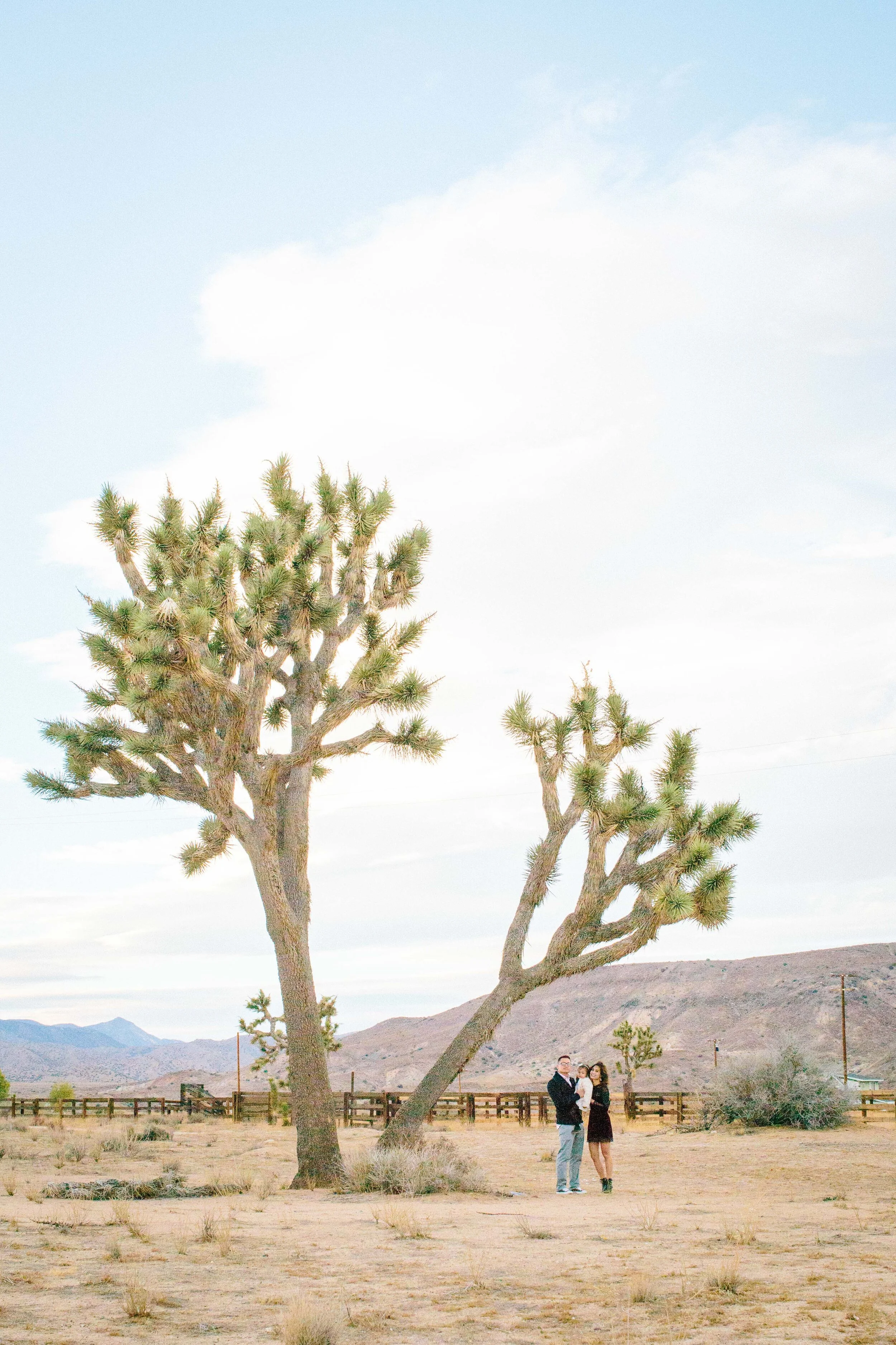 Joshua Tree Family Portrait-1.JPG