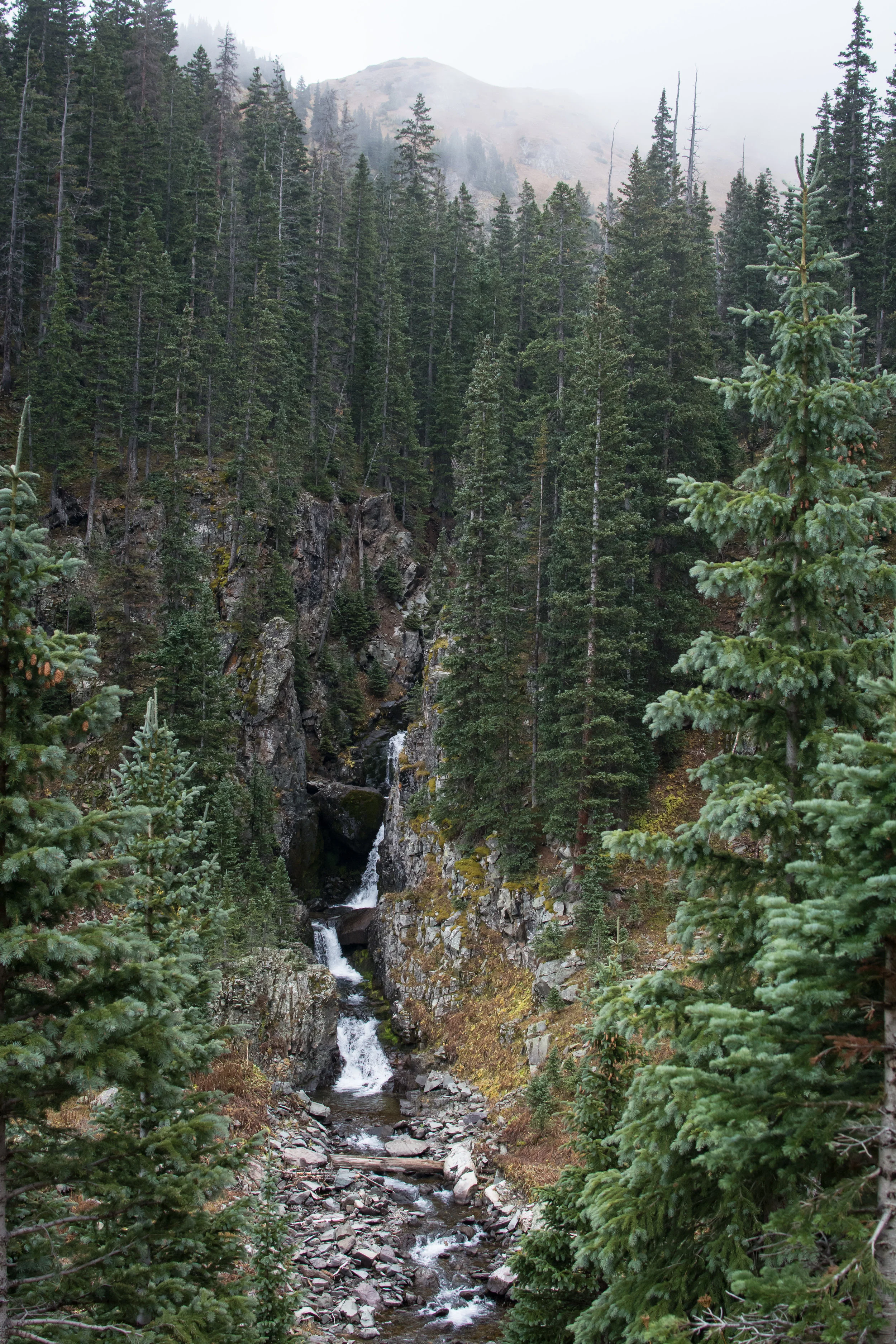 _DSC8953.jpg
