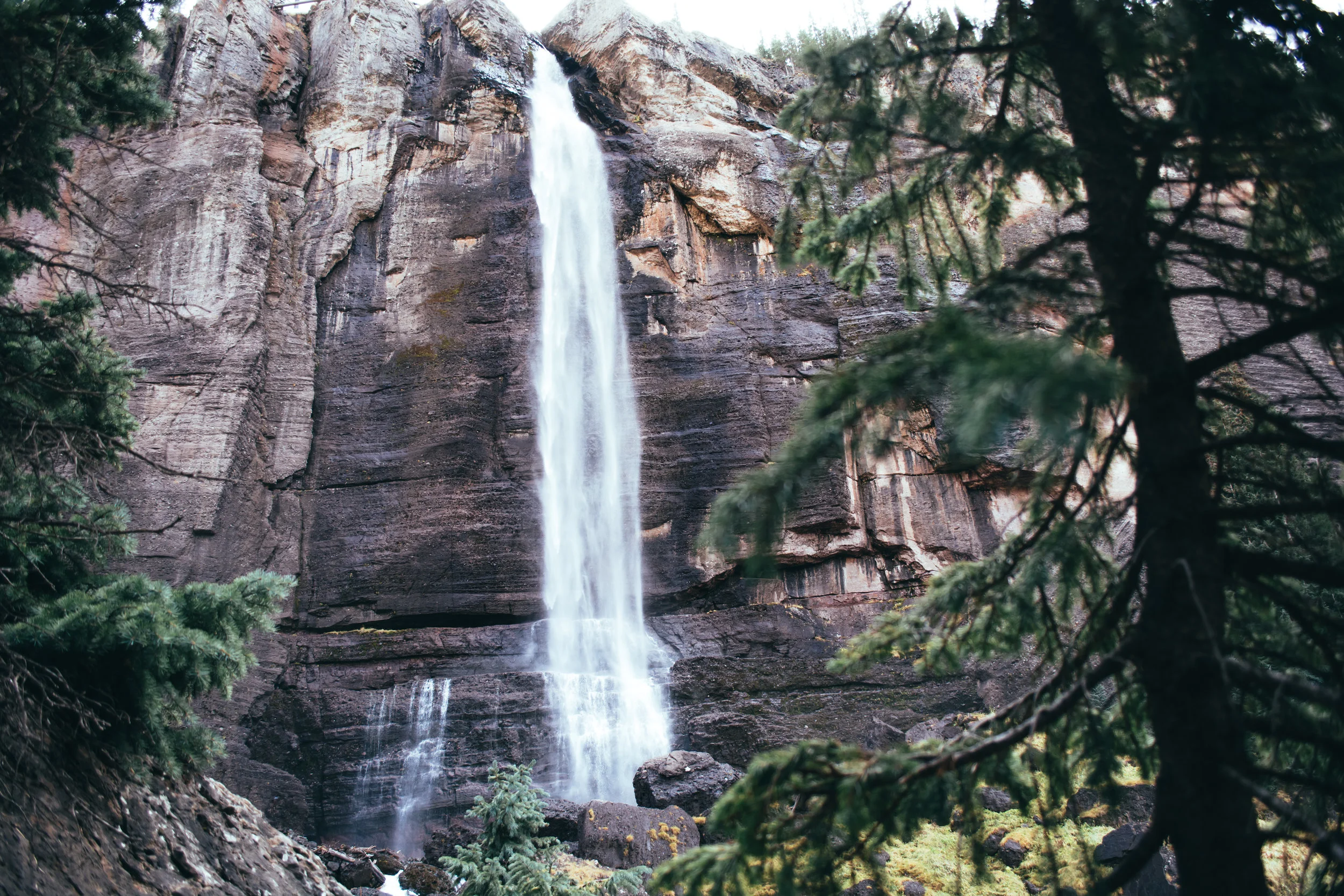 _DSC8677.jpg