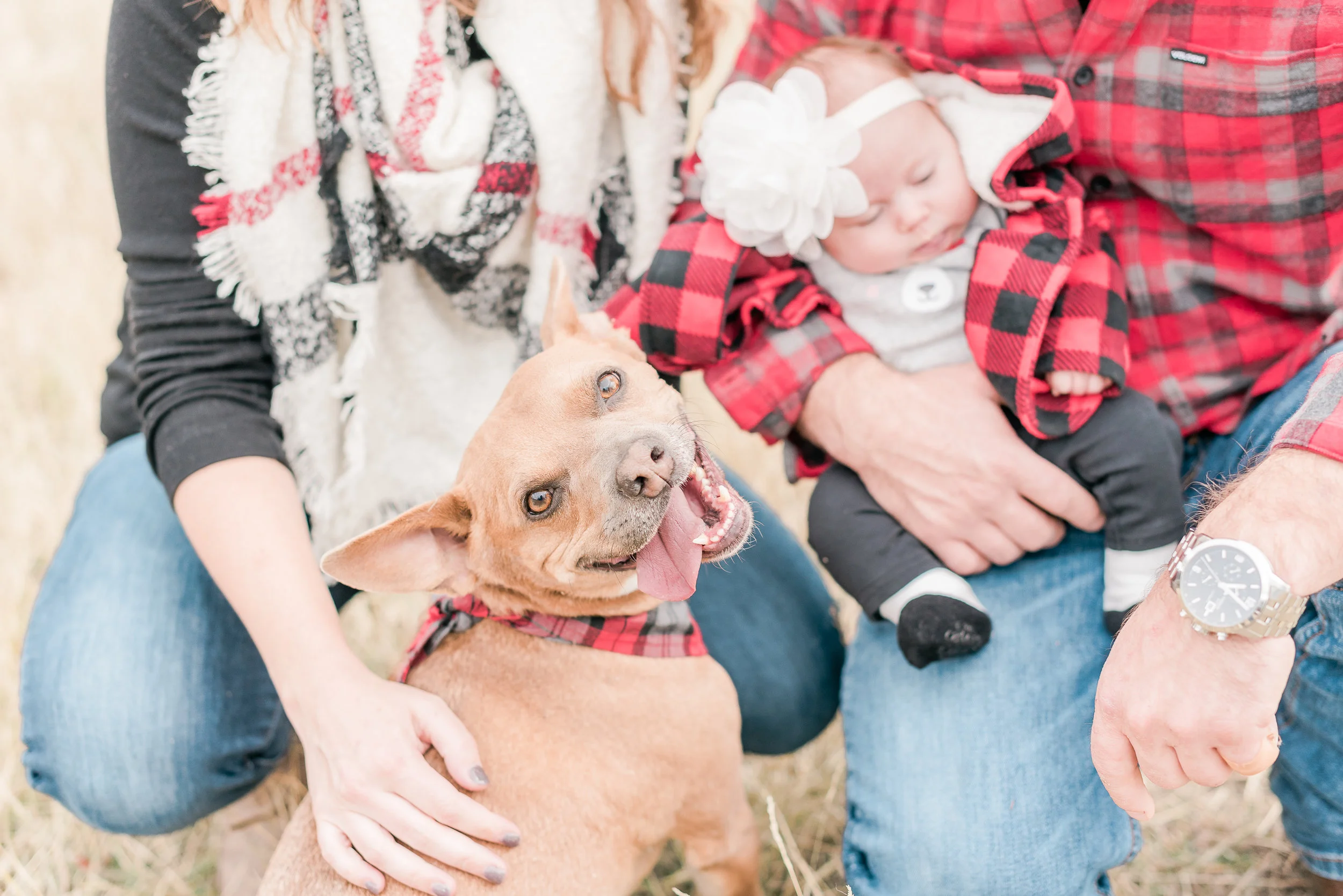 FamilyPhotos-19.jpg