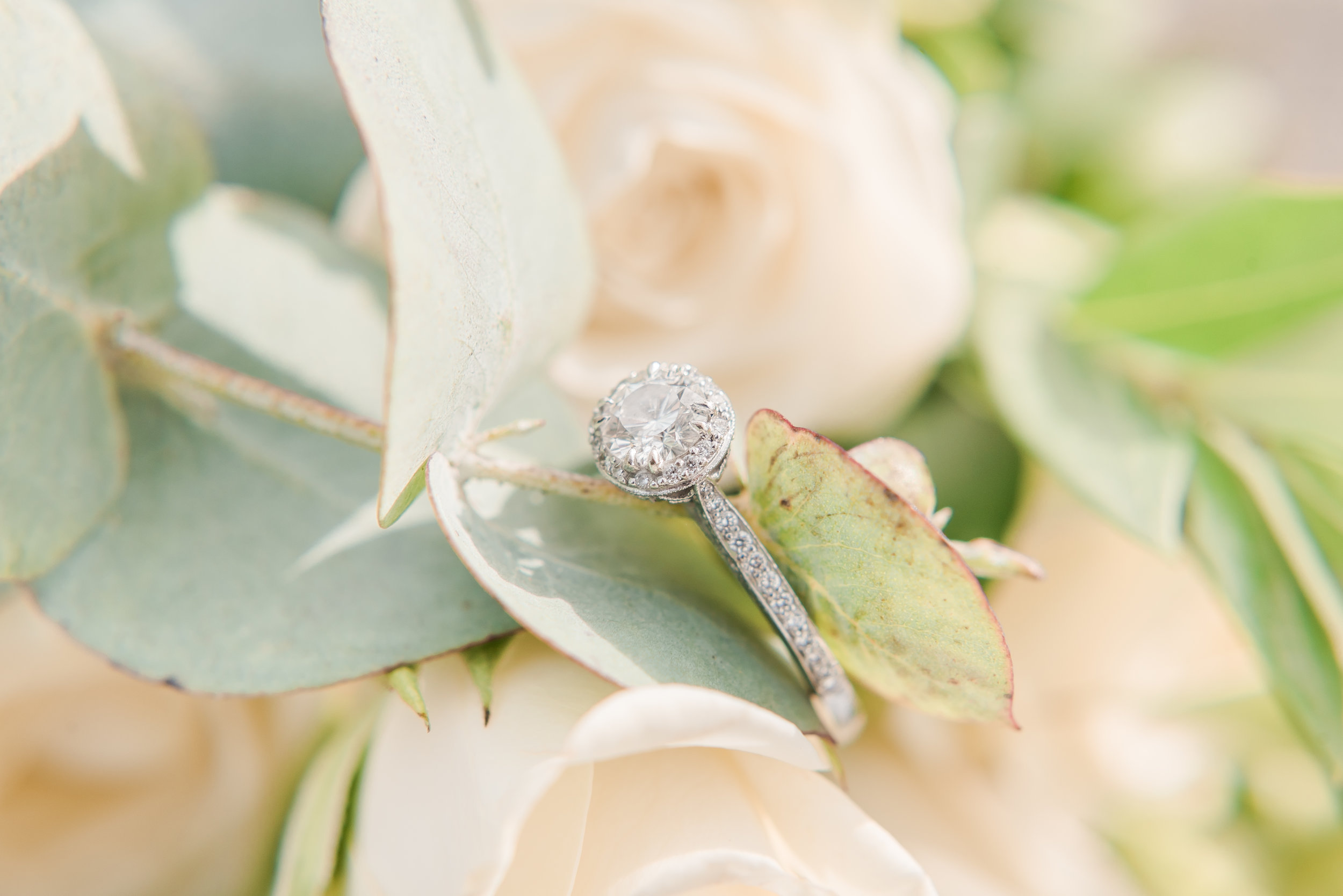 engagement ring, editorial wedding photography