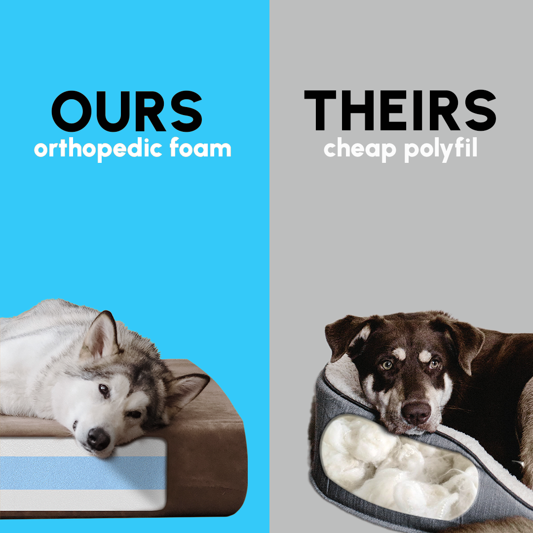orthopedicpolysplit_(1)_BlueSwap.png