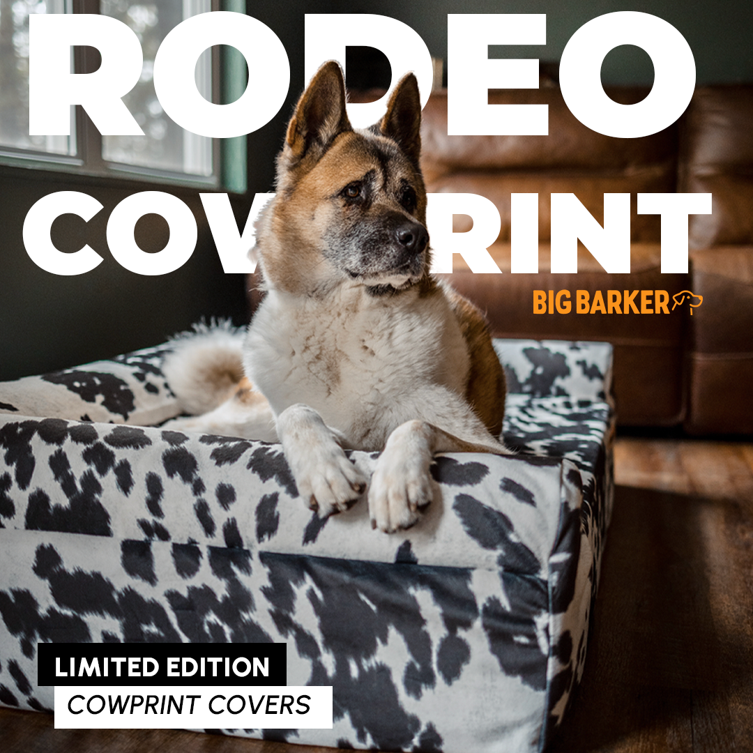 RODEOAdV2_1080x1080_23.png