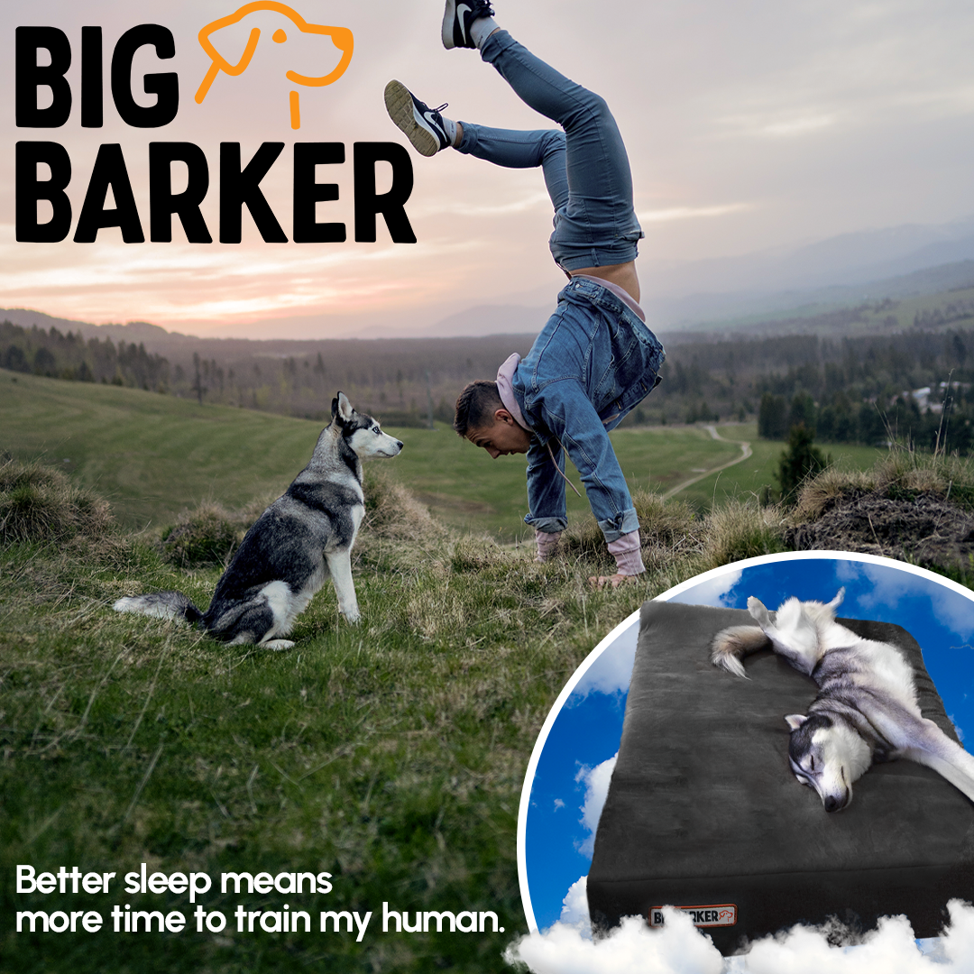BetterSleepMeansV1HUSKY_1080x1080_2023.png