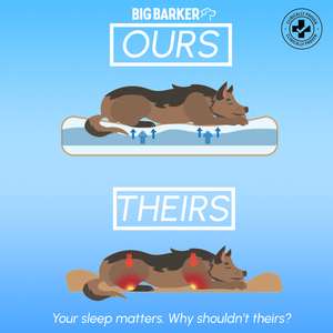 SleepMatters_1080x1080_2024.png