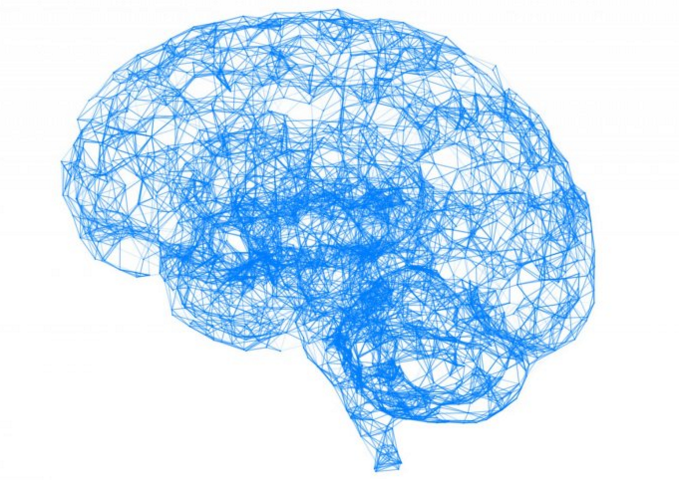 blue-brain.jpg