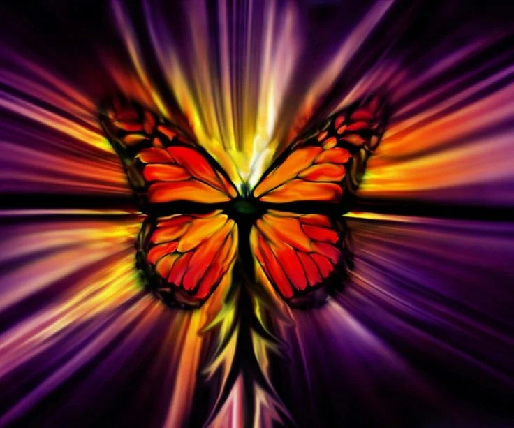 BrilliantButterflyTransformation.jpg