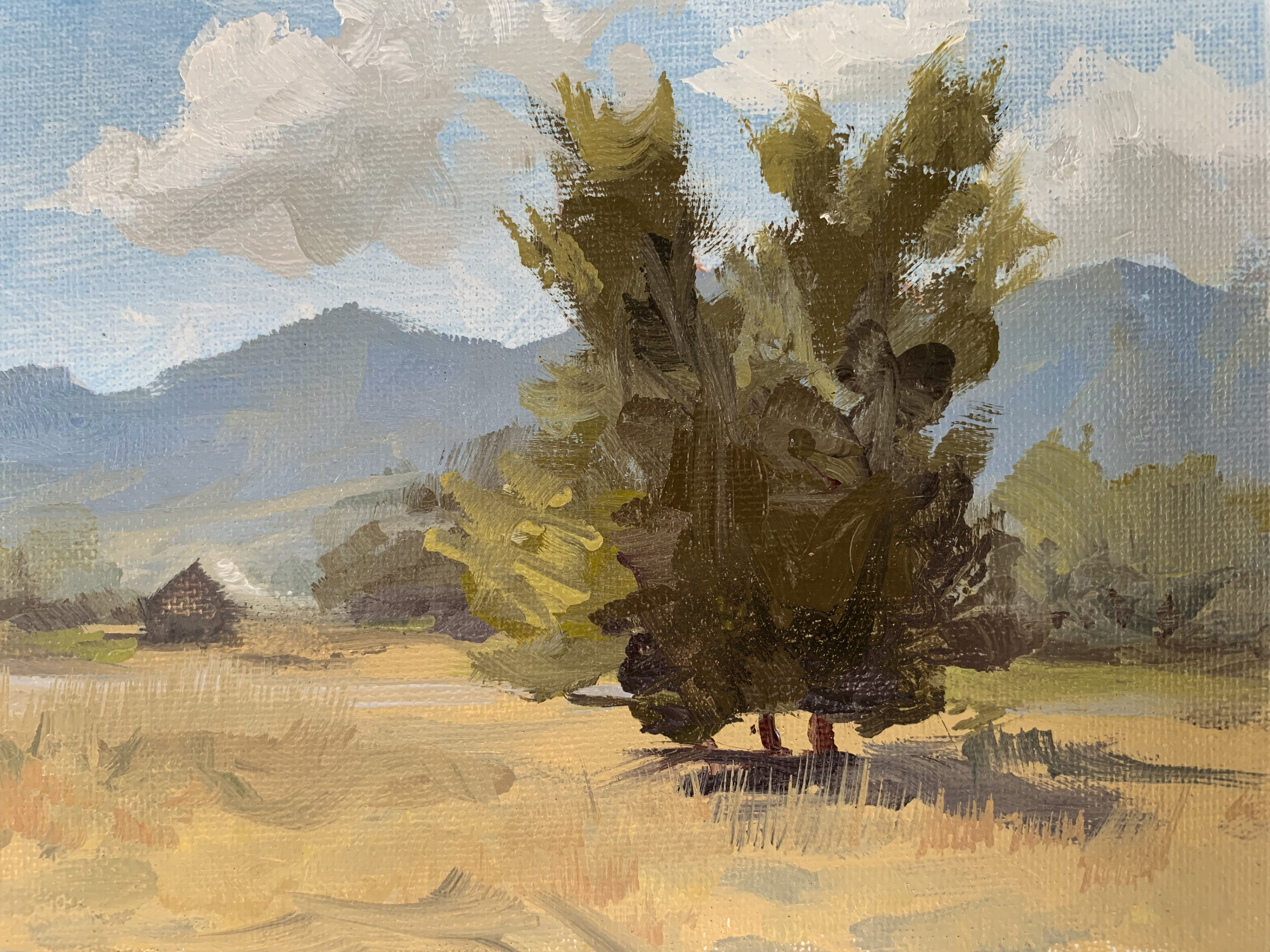 Cherryvale Afternoon (Plein Air)