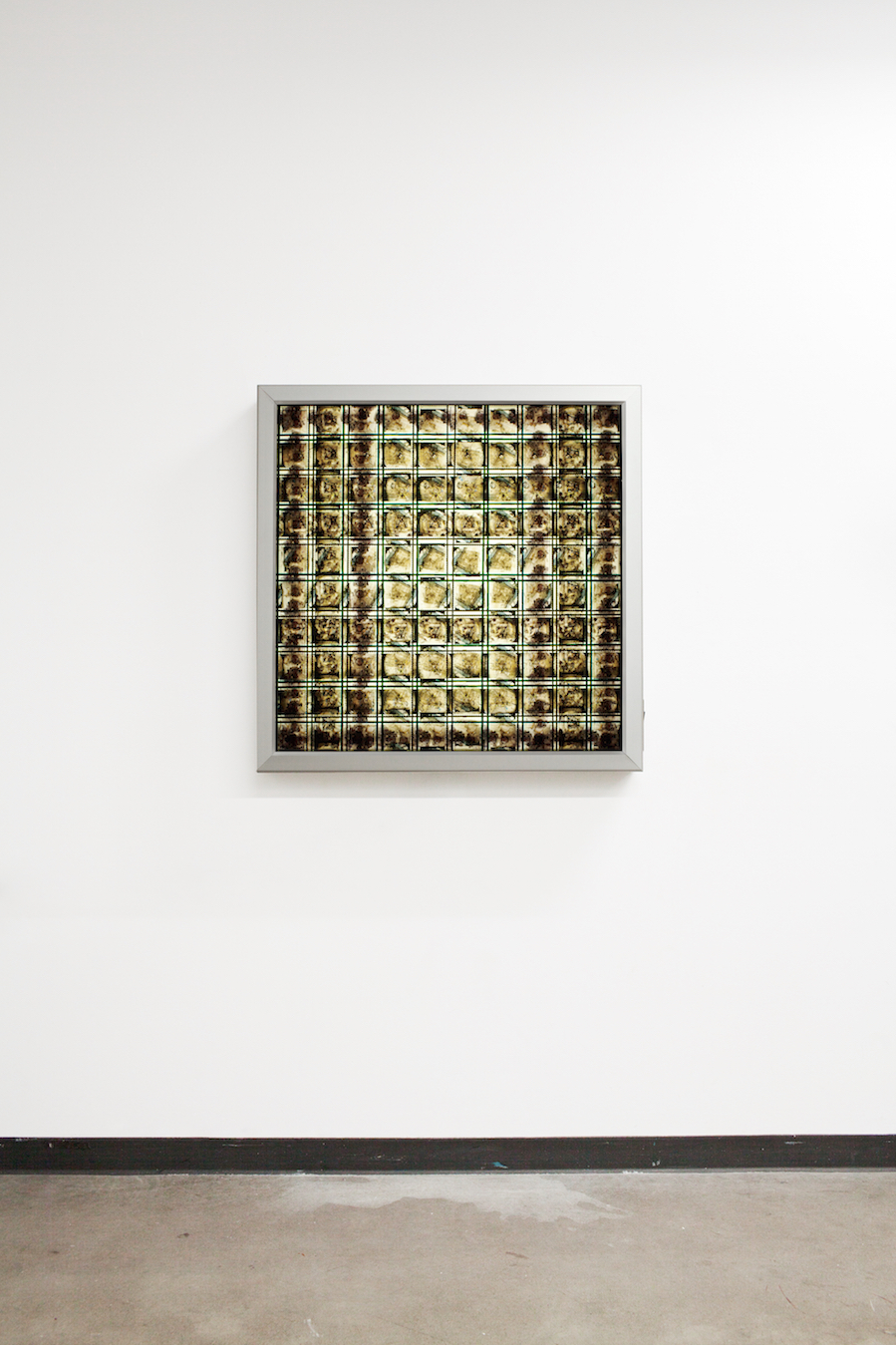 Space Program 3. 65mm Celluloid Film, Fluorescent Lights, Custom Lightbox. 30x30x6. Richard Kerr. 2016.