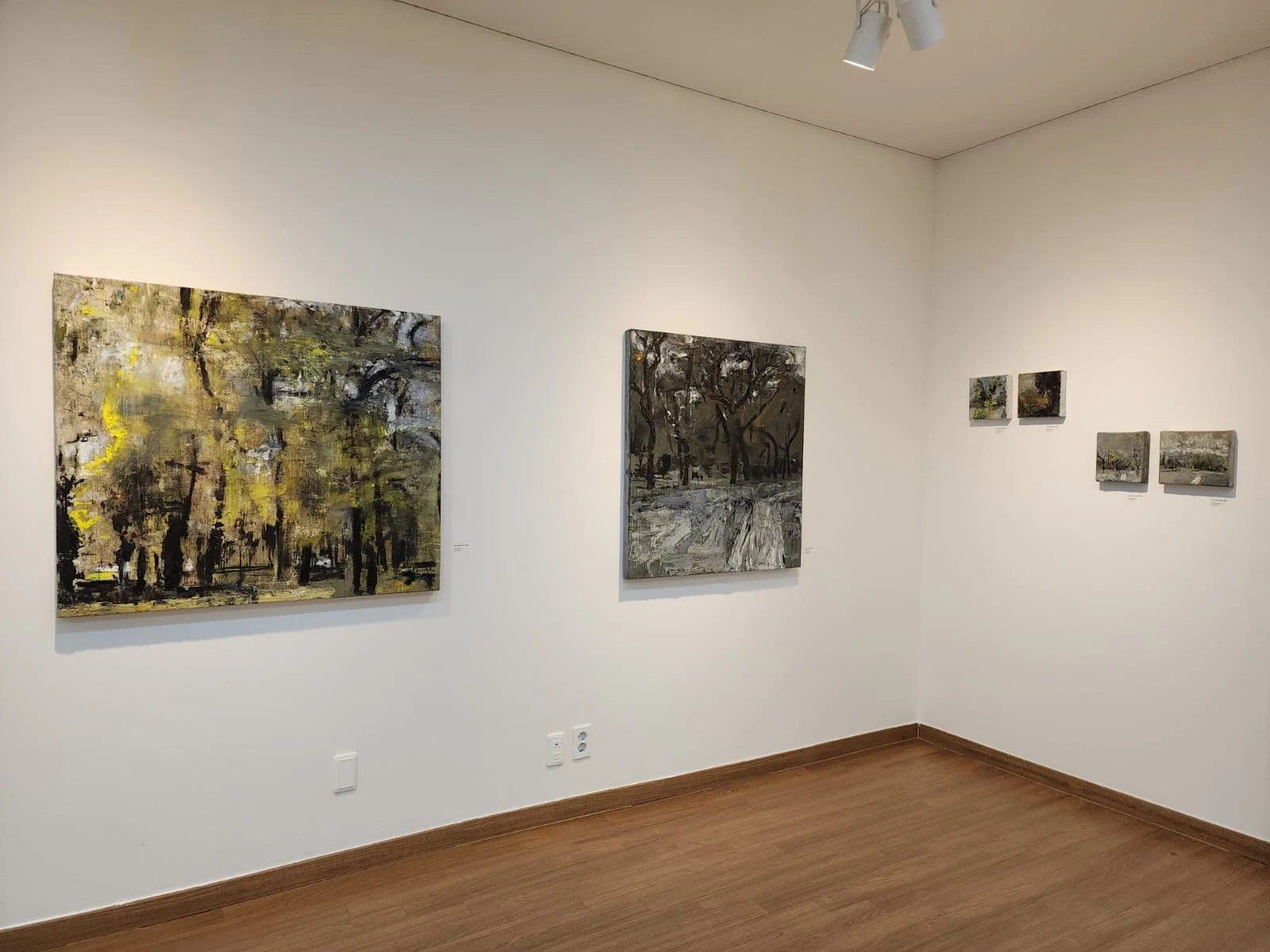 Installation view highlighting the spatial rhythm and relationships between paintings in A Trace of What Vanishes.