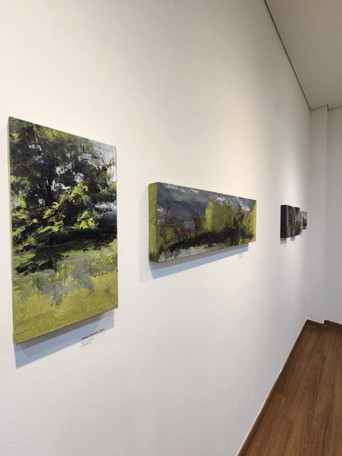 Installation view of smaller works grouped within the A Trace of What Vanishes exhibition.