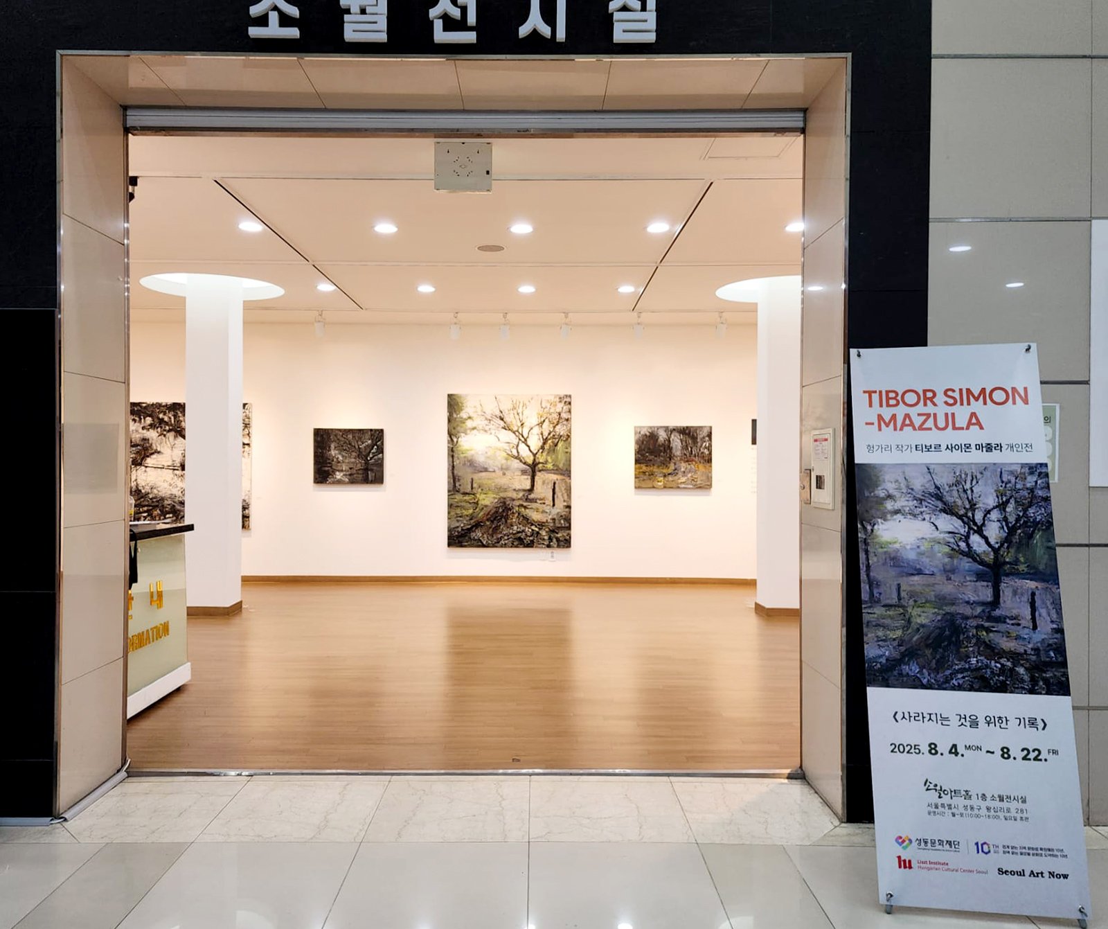 Installation view from a solo exhibition by Tibor Simon-Mazula, white cube gallery setting