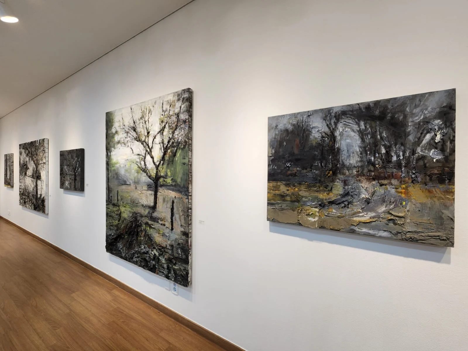 Installation view presenting five paintings installed together as part of A Trace of What Vanishes.