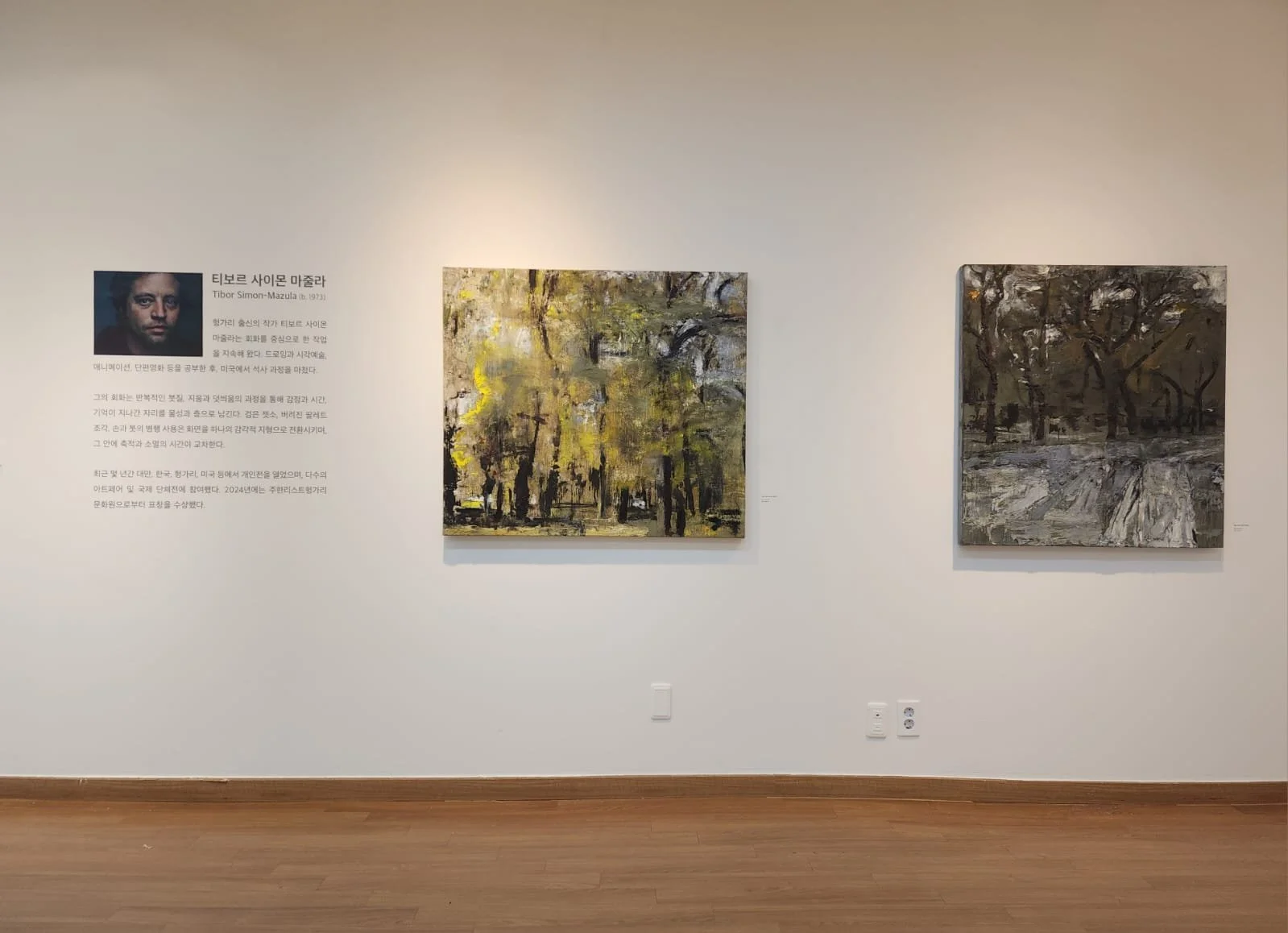 Installation view showing multiple paintings from A Trace of What Vanishes displayed across the gallery walls.