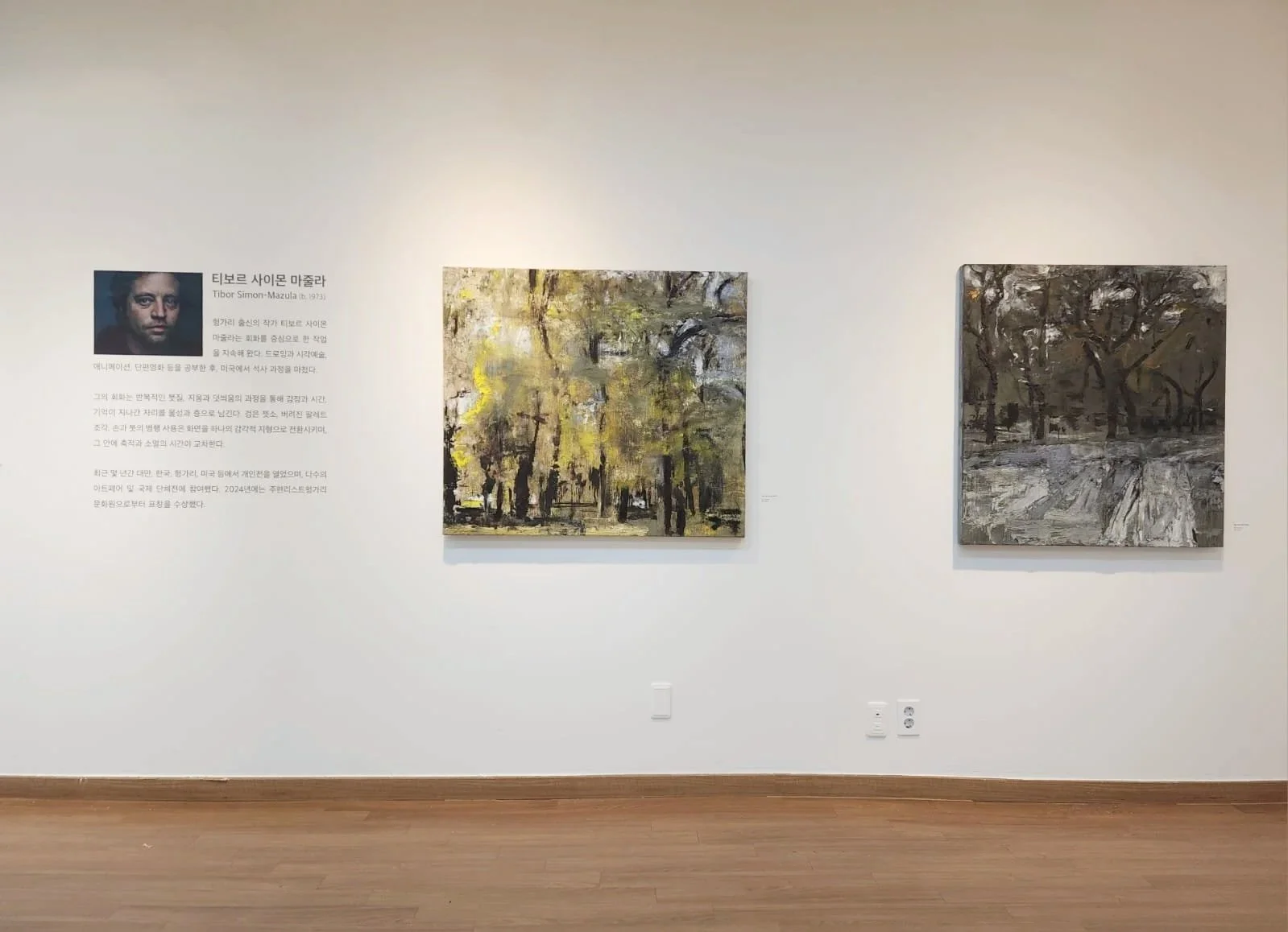 Gallery installation view, Seongdong Cultural Foundation — Tibor Simon-Mazula