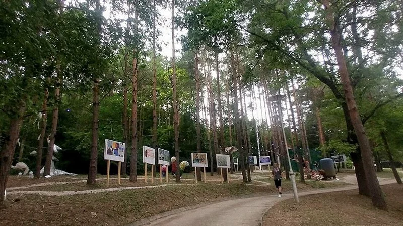 Open-air installation view of paintings in a forest setting, Fine Art on Orfű, Hungary, 2024.