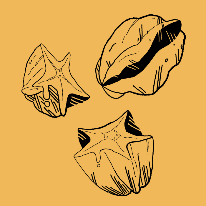 Confect Images 10.png