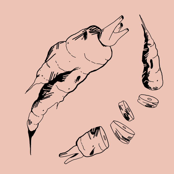 Confect Images 1.png