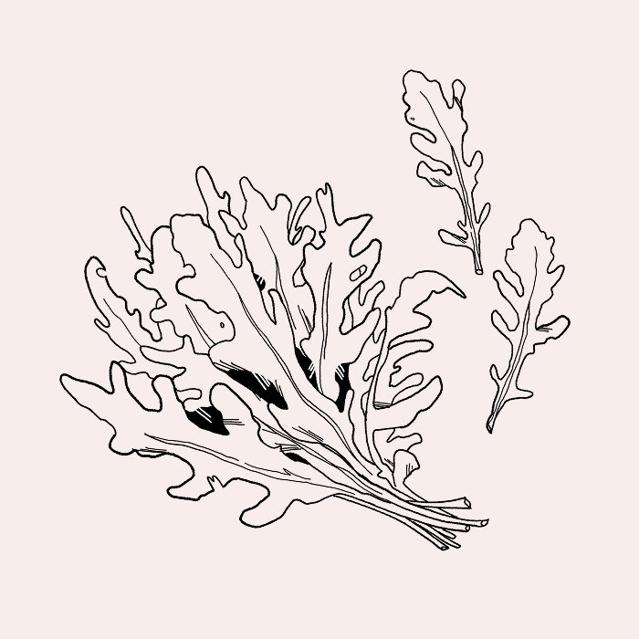 Confect Images 14.png