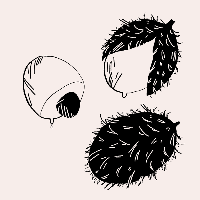 Confect Images 6.png