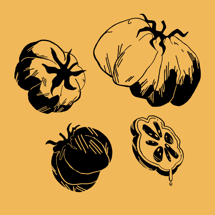 Confect Images 5.png