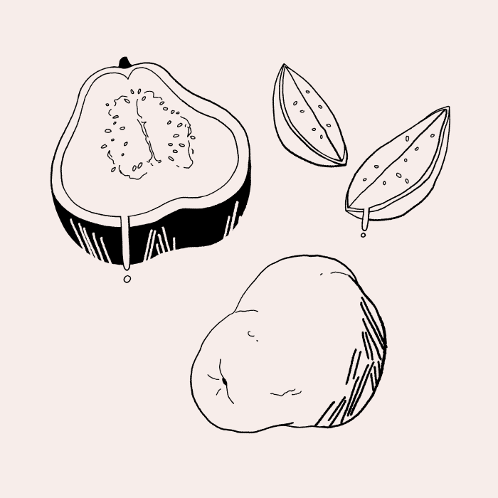 Confect Images 9.png
