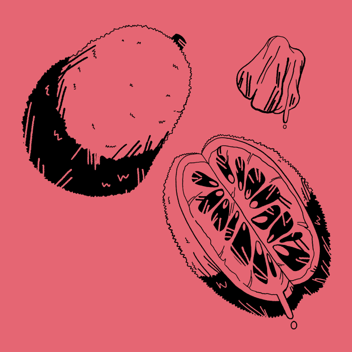 Confect Images 7.png