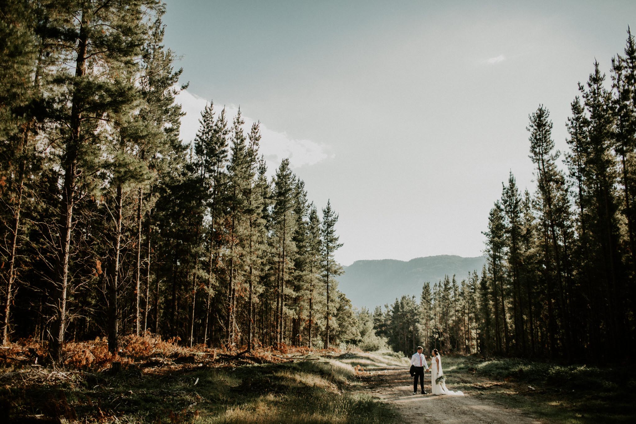 Epic forest Melbourne wedding photographer