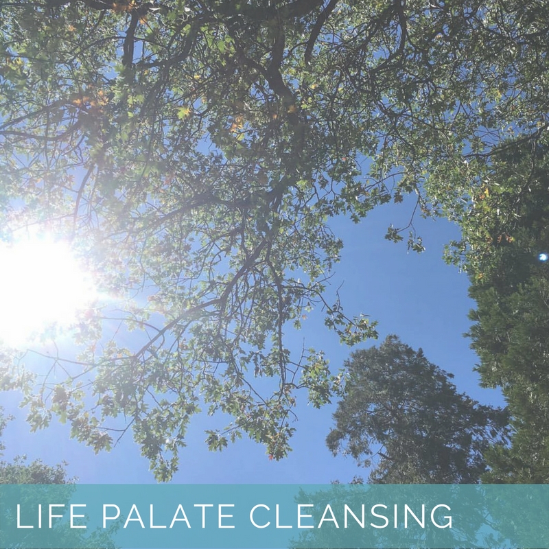 life palate cleansing (1).jpg
