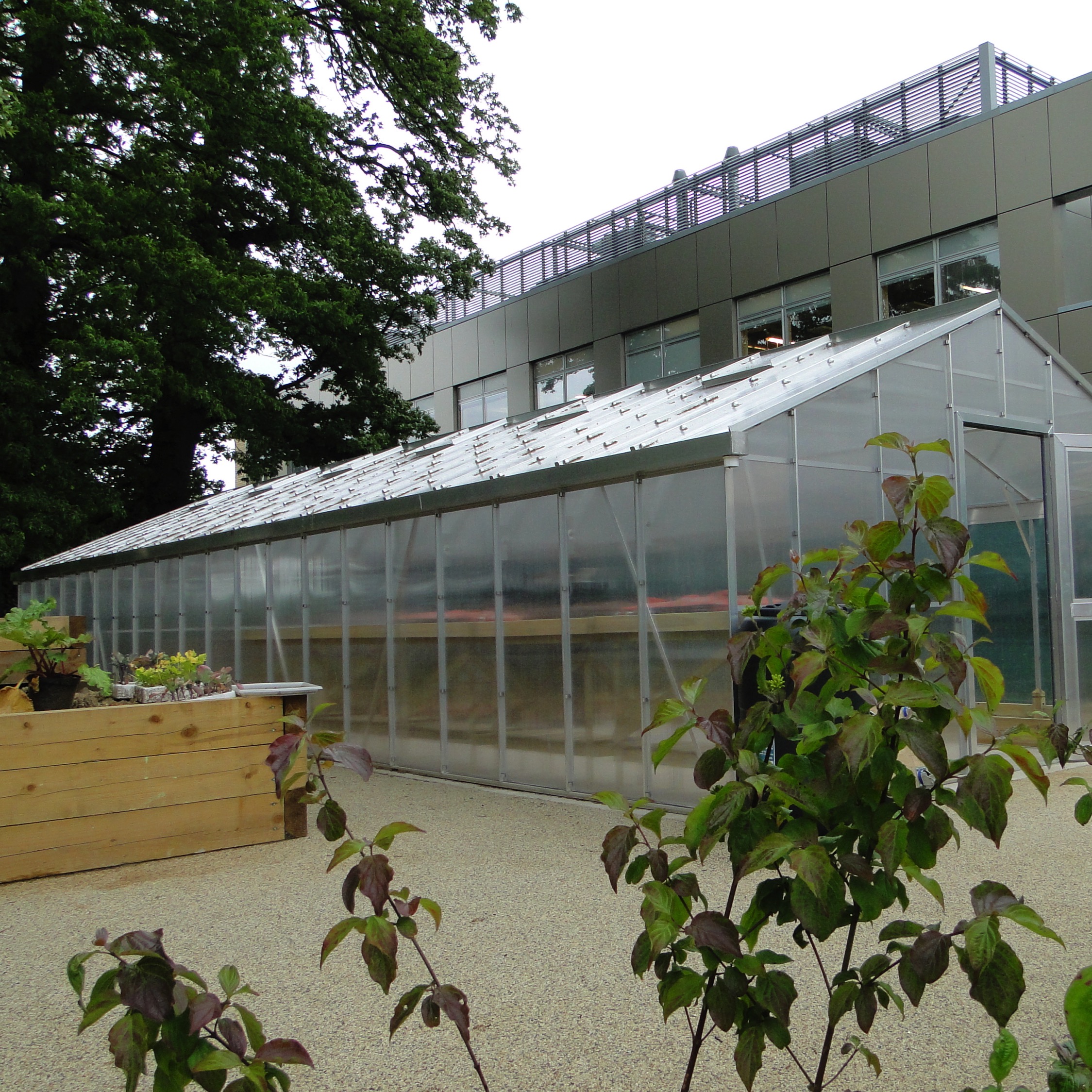 STC Merton Complex Needs Centre