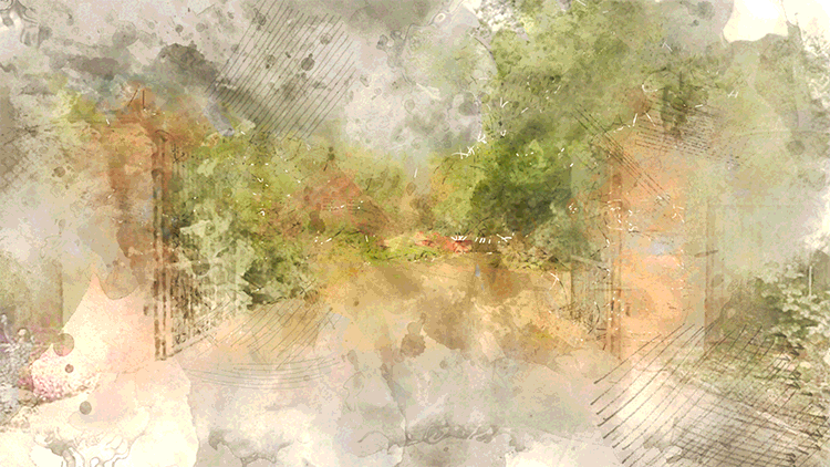 animation.gif