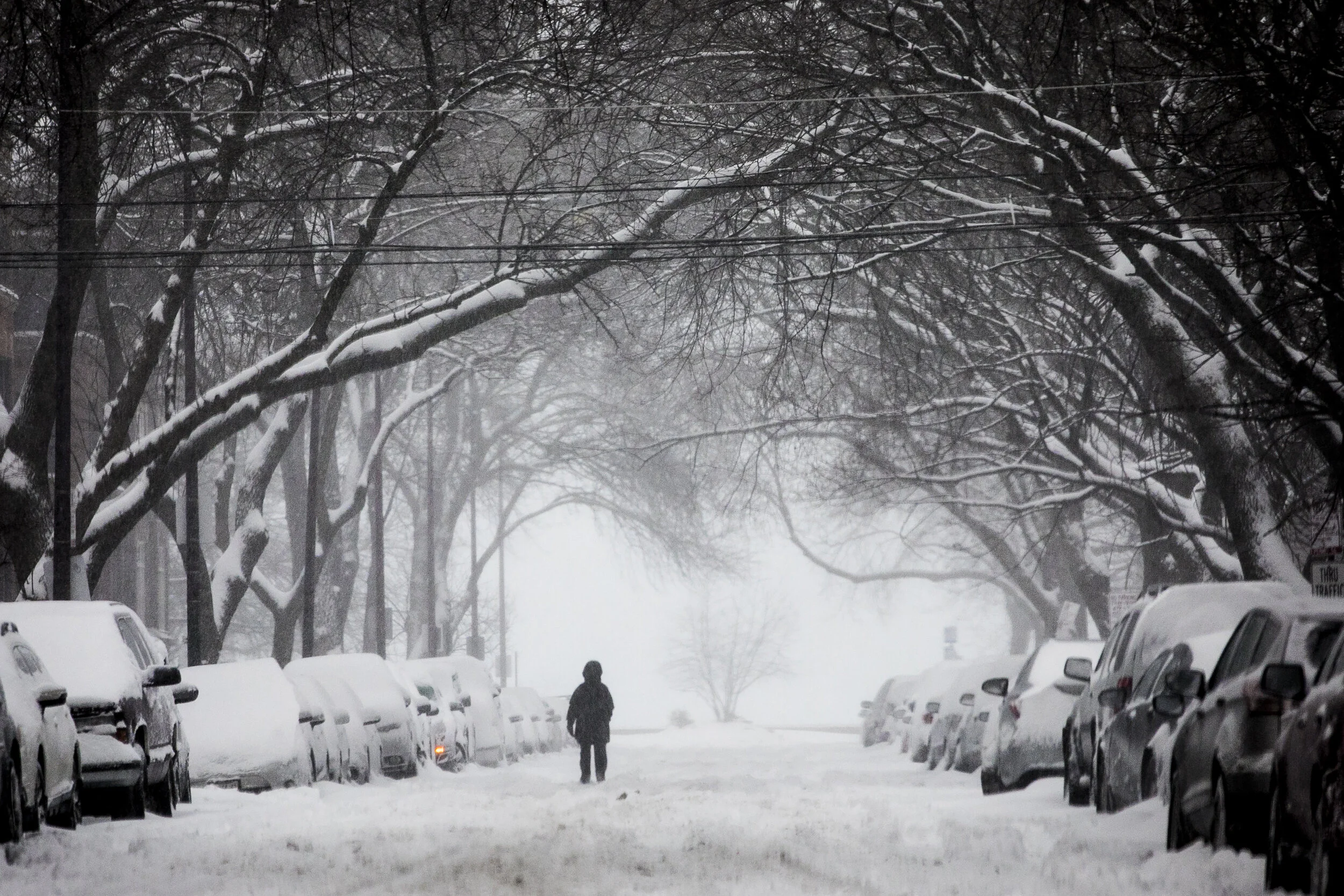  As more than 10 inches of snowfall hit portions of the Chicago area overnight, a person walks down Pratt Boulevard near Sheridan Road in the Rogers Park neighborhood, Friday morning, Feb. 9, 2018. | Ashlee Rezin Garcia/Sun-Times  