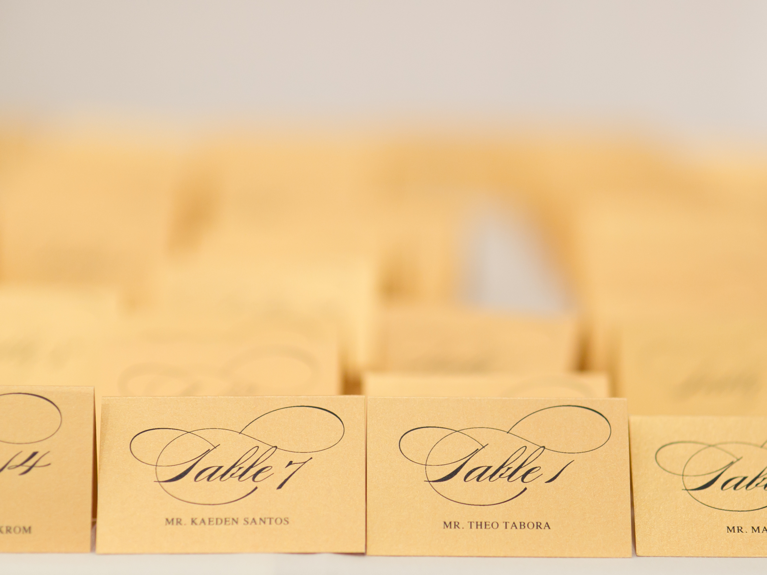 Wedgewood San Ramon Wedding - Michelle Chang Photography