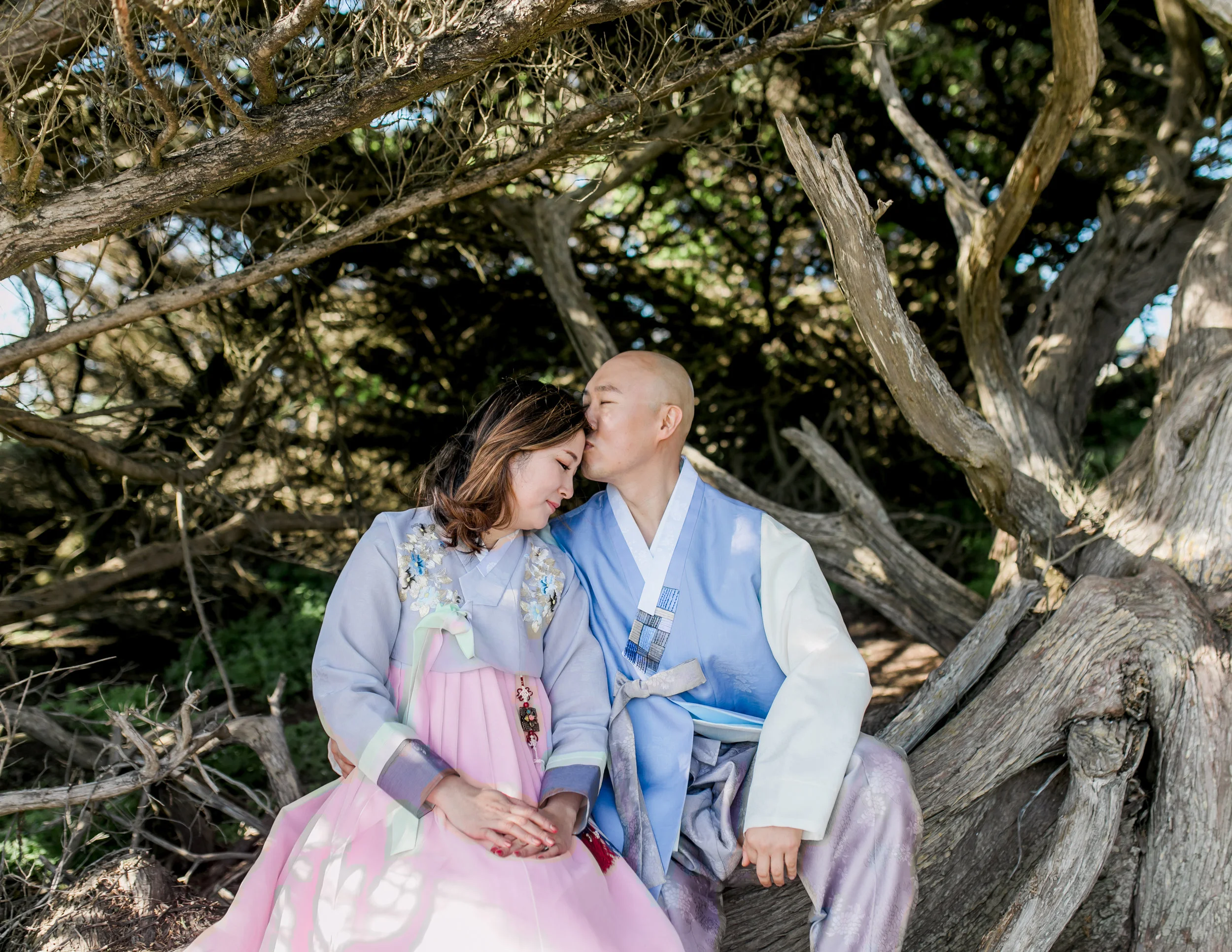 michellechangphotography - san francisco lands end