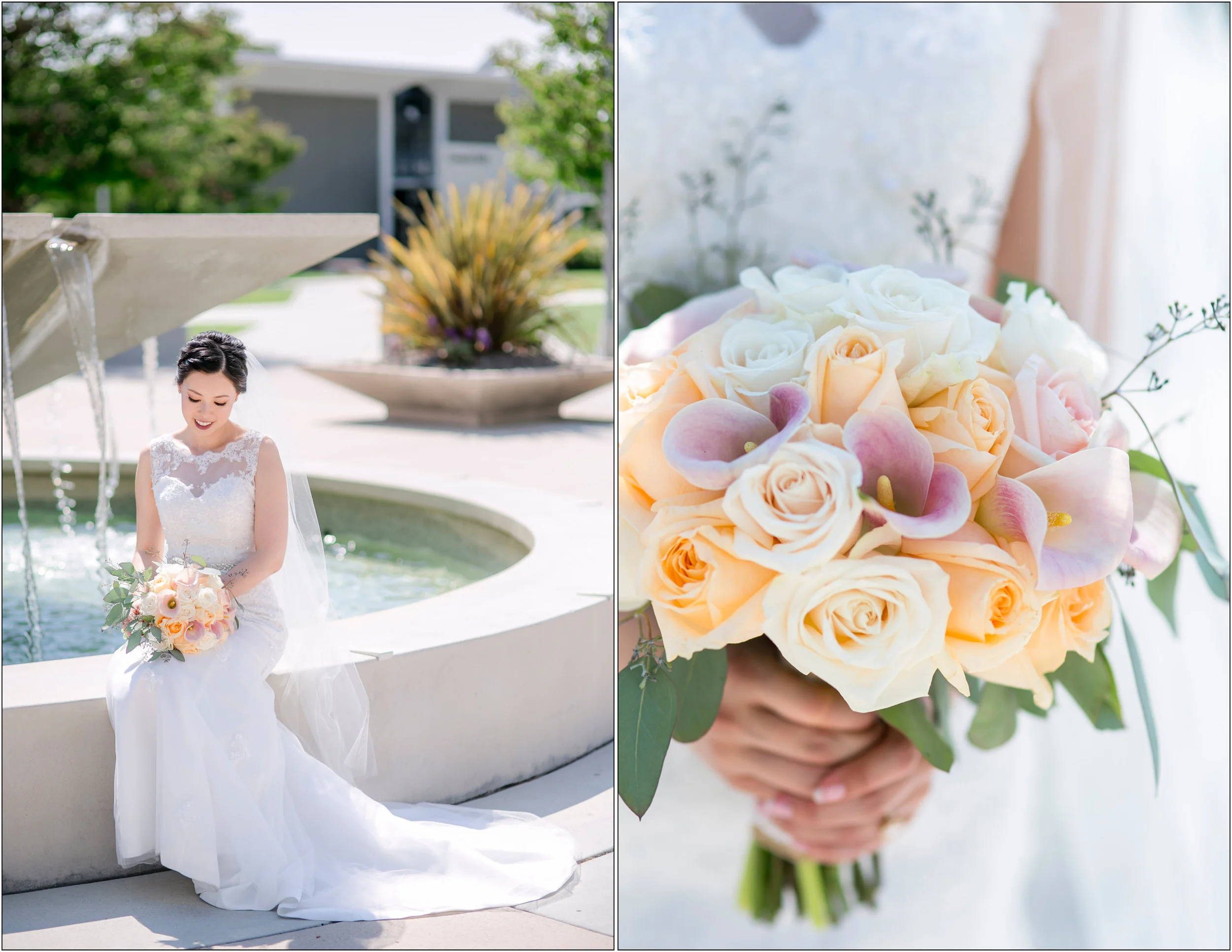 College of San Mateo - Michelle Chang Photography